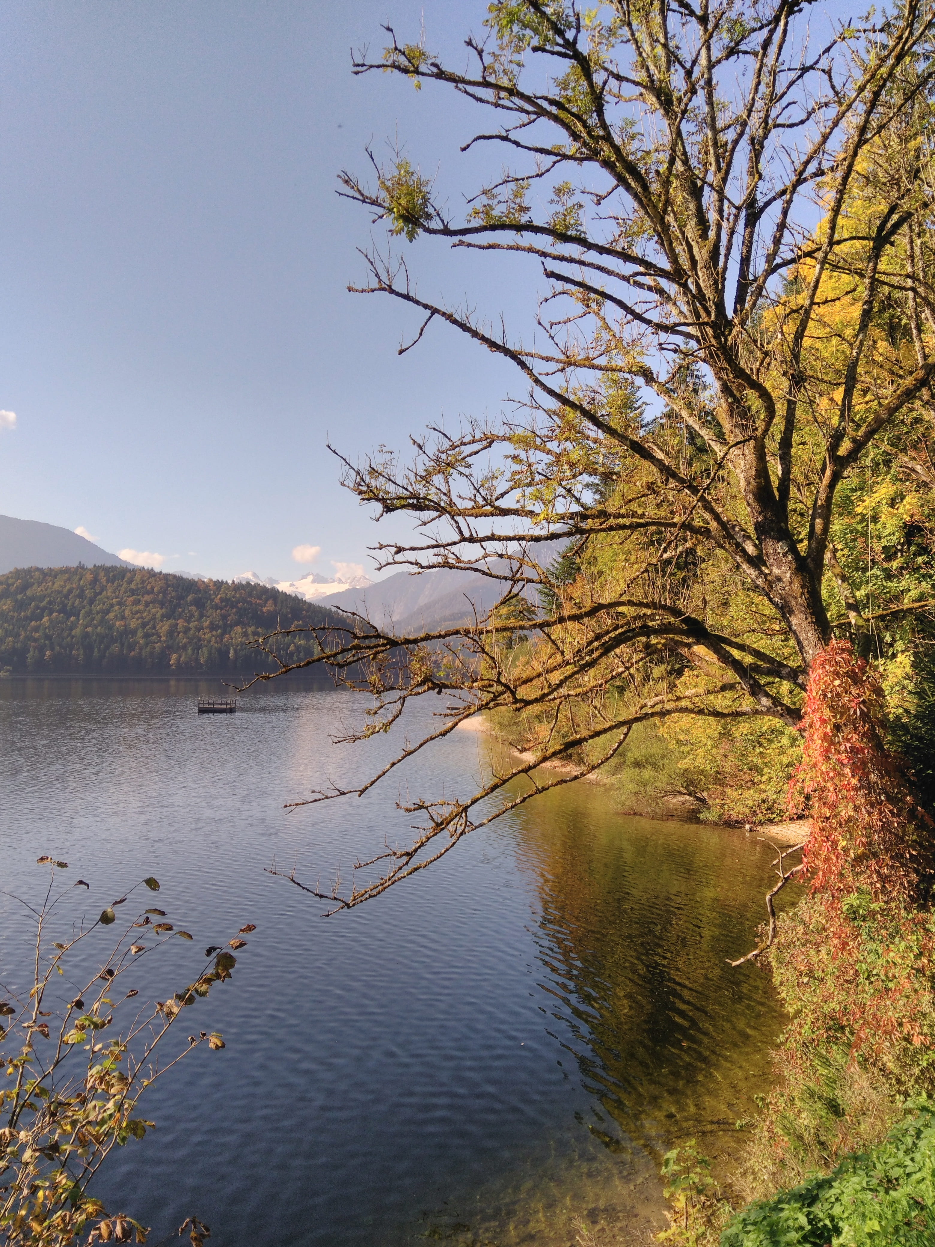 styria, tranquility, waters, altaussee, beauty in nature, day, leaves, austria, mood, relaxation, landscape, outdoors, mountains, water, in the, no people, Phone HD Wallpaper