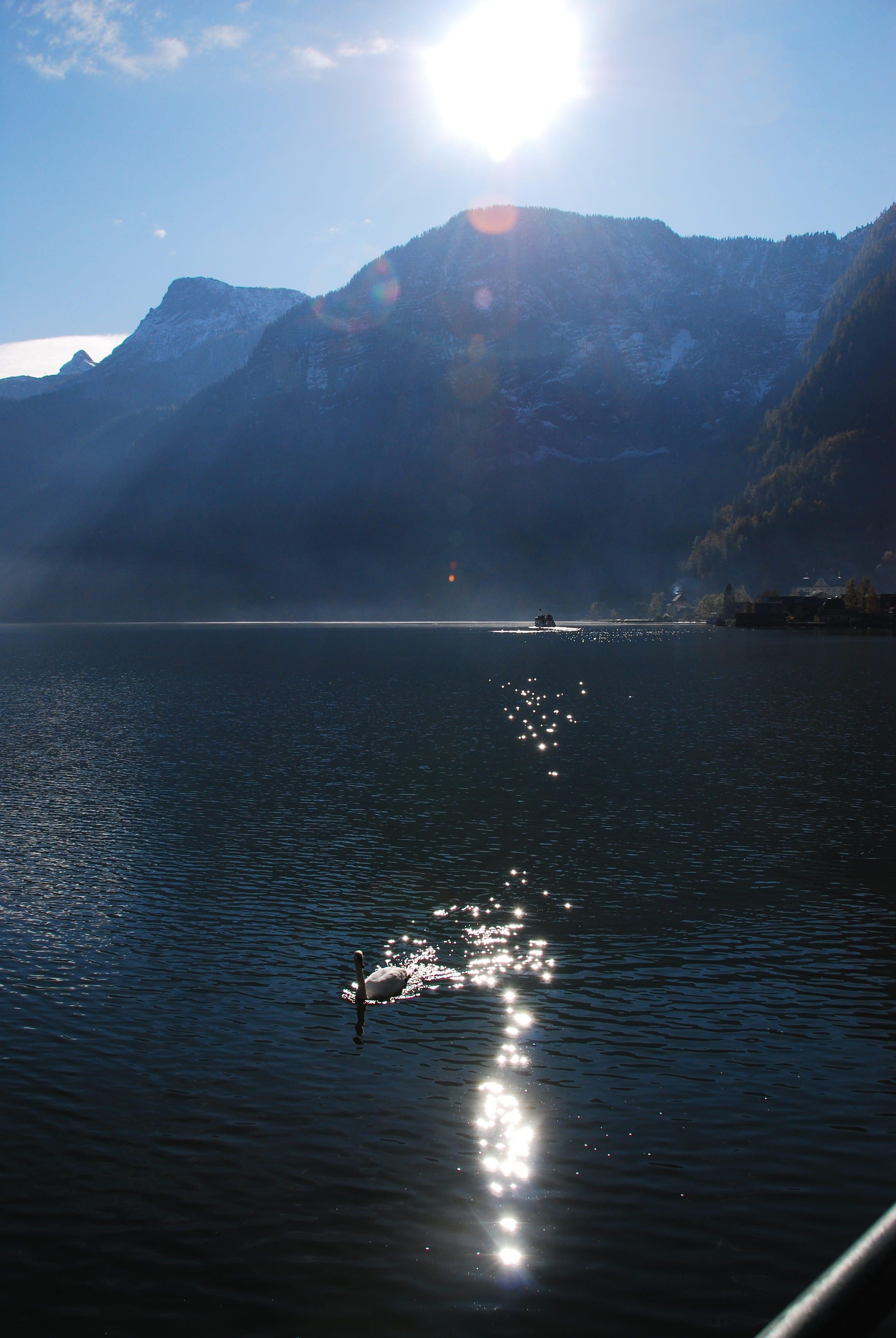 scenics - nature, water, animal, no people, 4K, mountain, day, tranquil scene, landscape, outdoors, mountain range, hallstättersee lake, beauty in nature, Phone HD Wallpaper