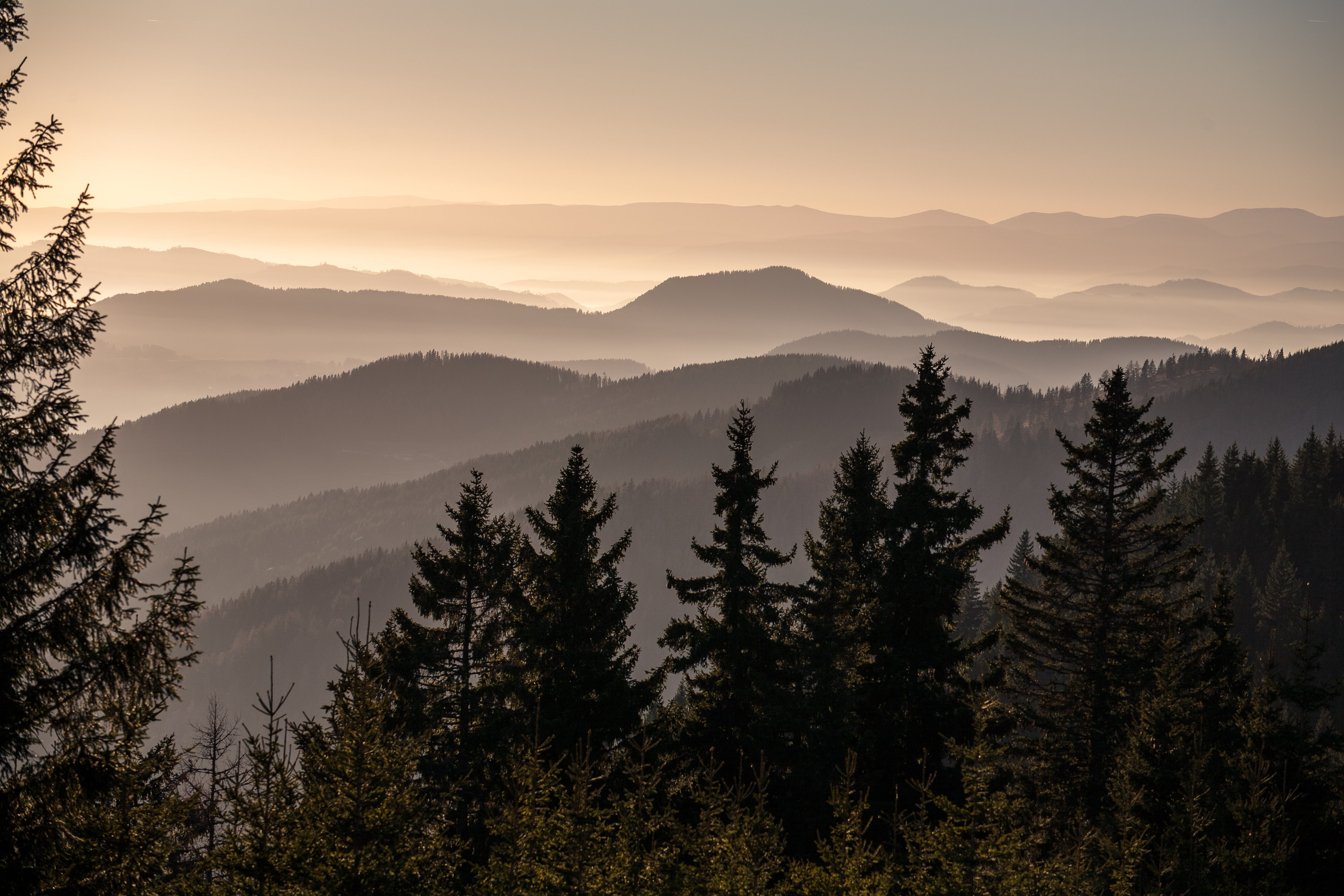 Österreich, tree, Sankt Kathrein am Offenegg, mountain, sunset, Steiermark, kathrein, sky, nature, landscape, offenegg, sankt, II Vi, ii, scenics, untitled, HD Wallpaper
