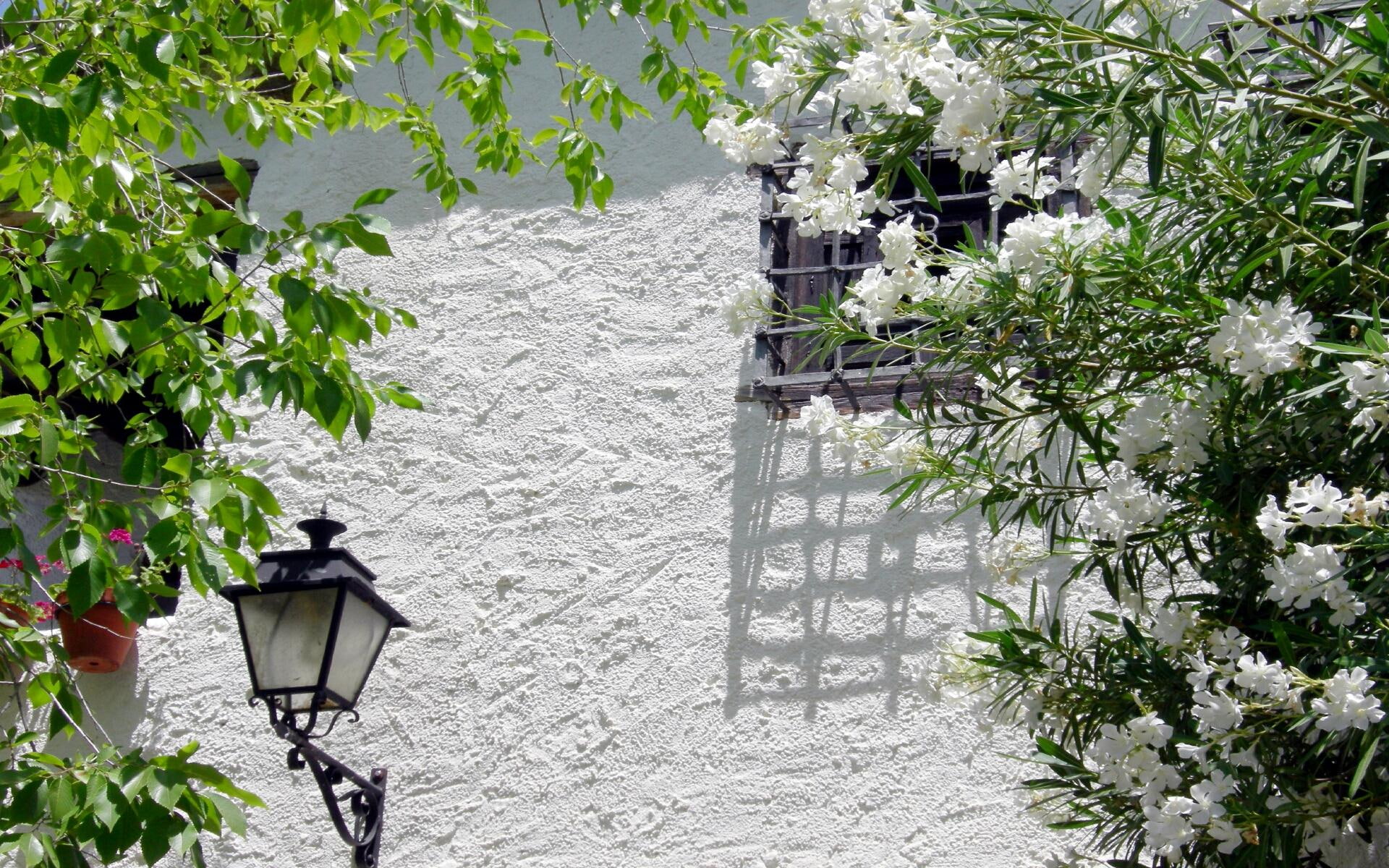 lamp, wall, animals, cadiar, granada, flowers, white, 1080P, HD Wallpaper