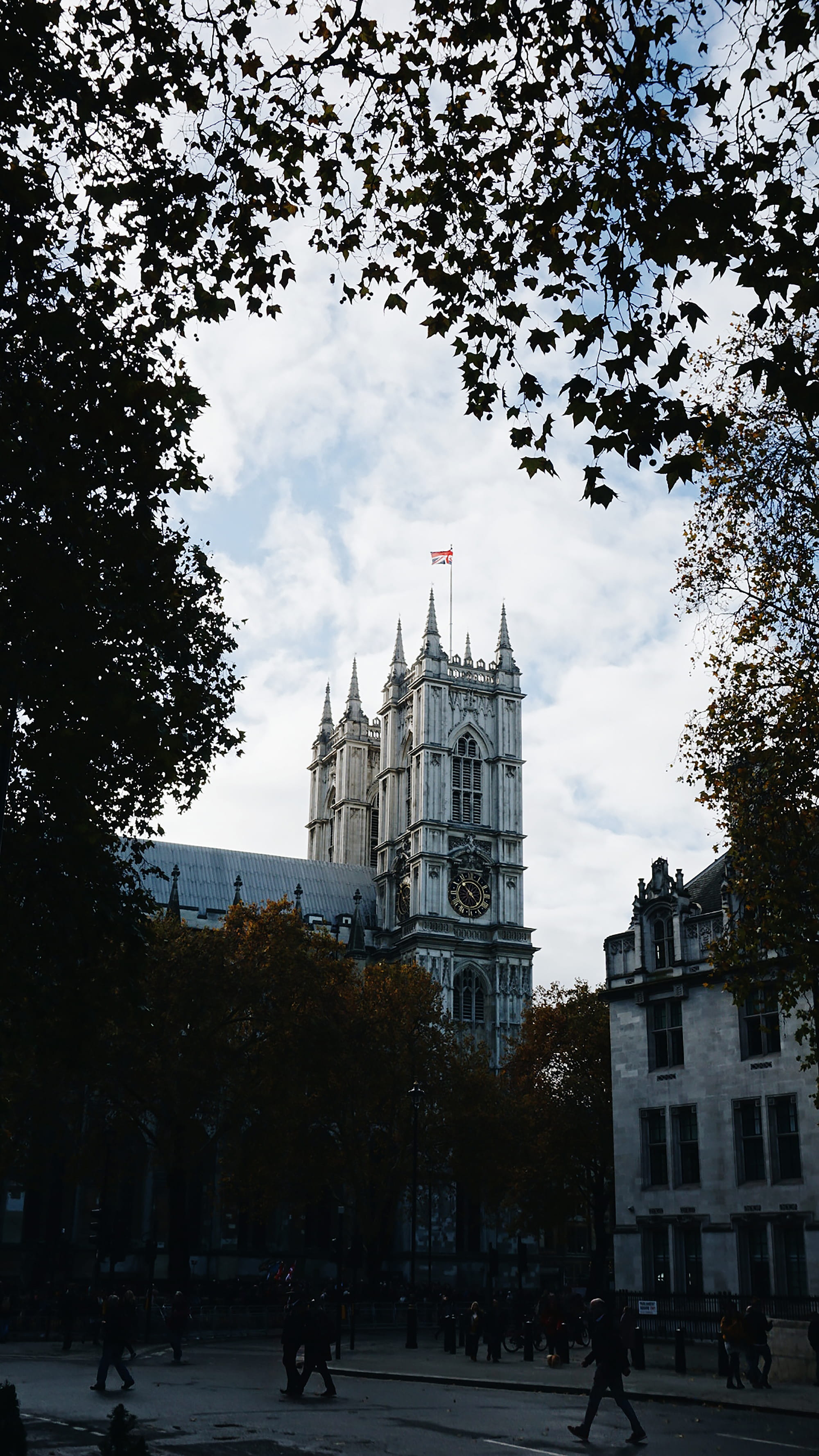 government, westminster, spire, nature, sky, incidental people, tree, history, autumn, place of worship, building, travel, built structure, the past, travel destinations, Phone HD Wallpaper