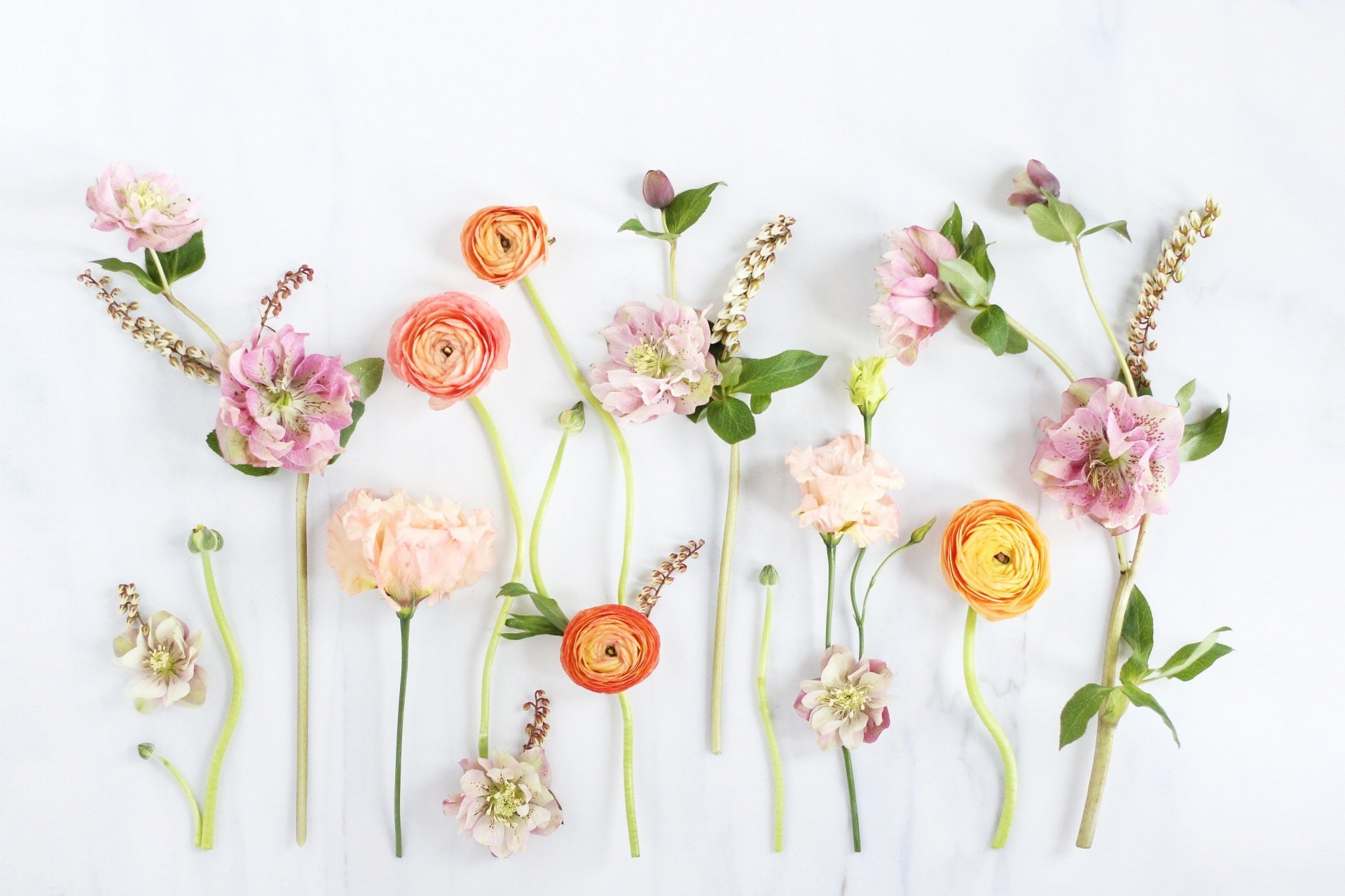1080P, Pastel, Colors, Flowers, Flower, Spring, Artistic, HD Wallpaper