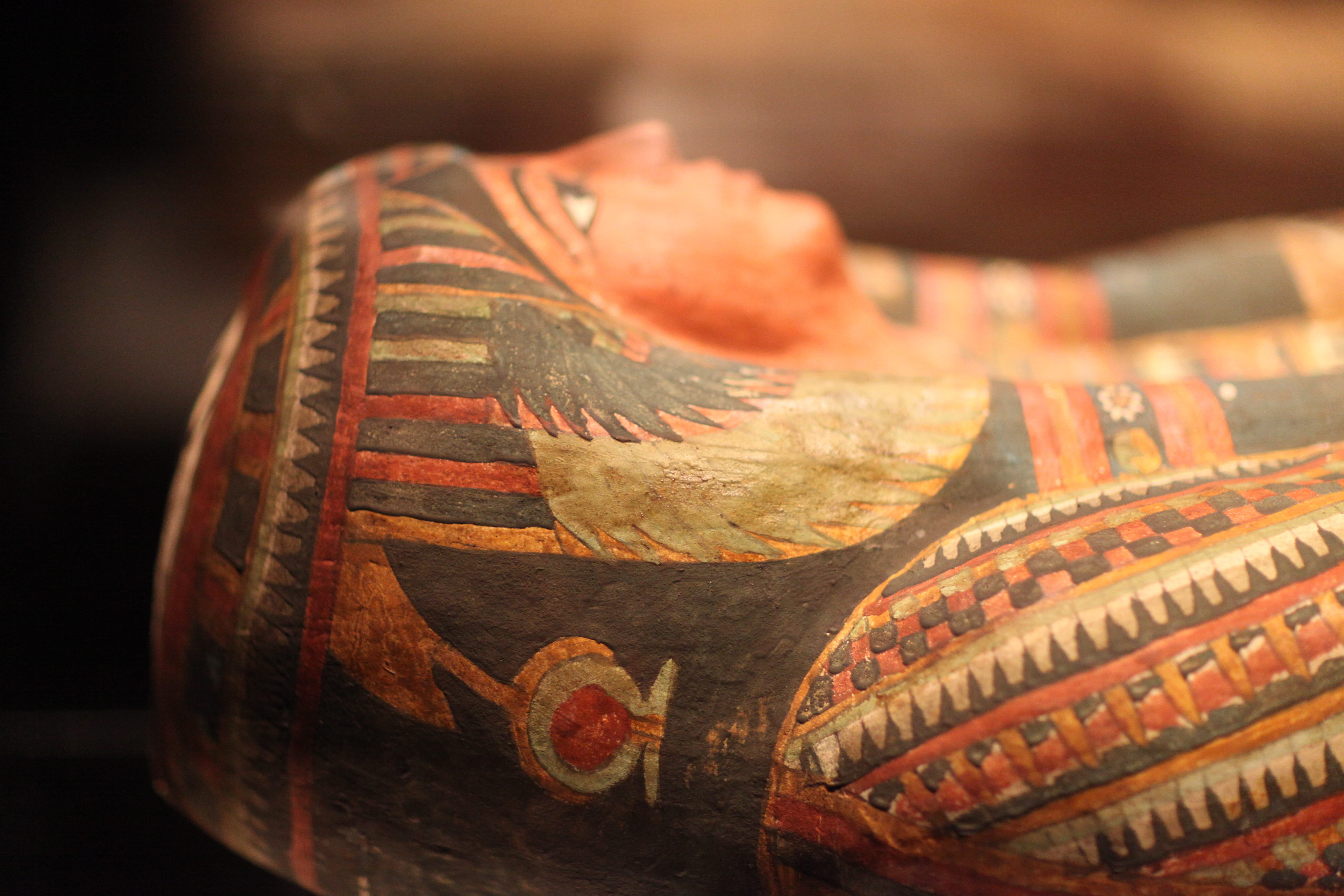 still life, retail, art and craft, Egypt, food and drink, day, egyptian, figurine, 5K, history, reptile, no people, the past, basket, container, photo, HD Wallpaper
