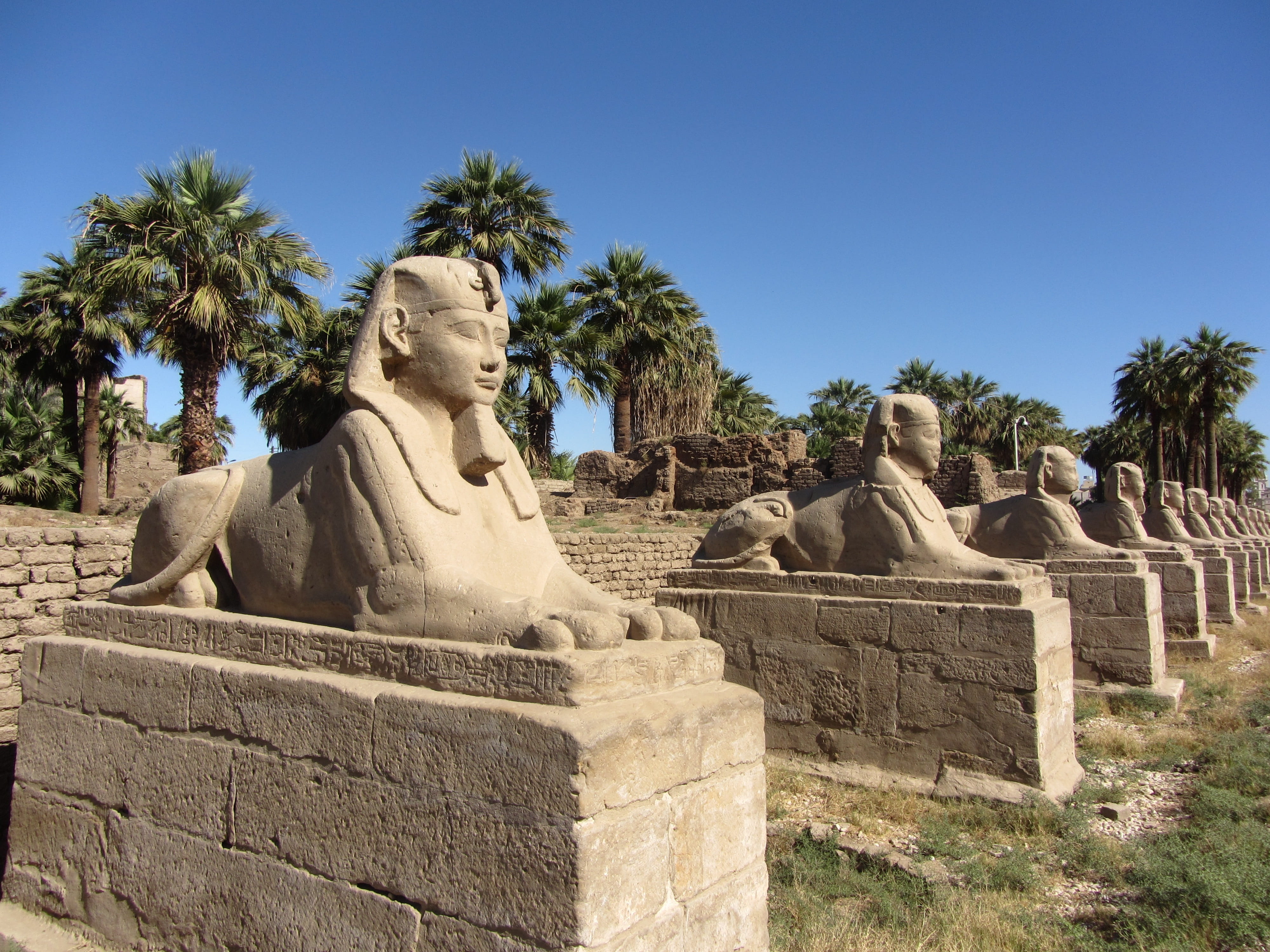 representation, Egypt, ancient, craft, Old, creativity, architecture, sky, stone, the past, ancient civilization, no people, tree, 4K, Pharaoh, stone material, HD Wallpaper