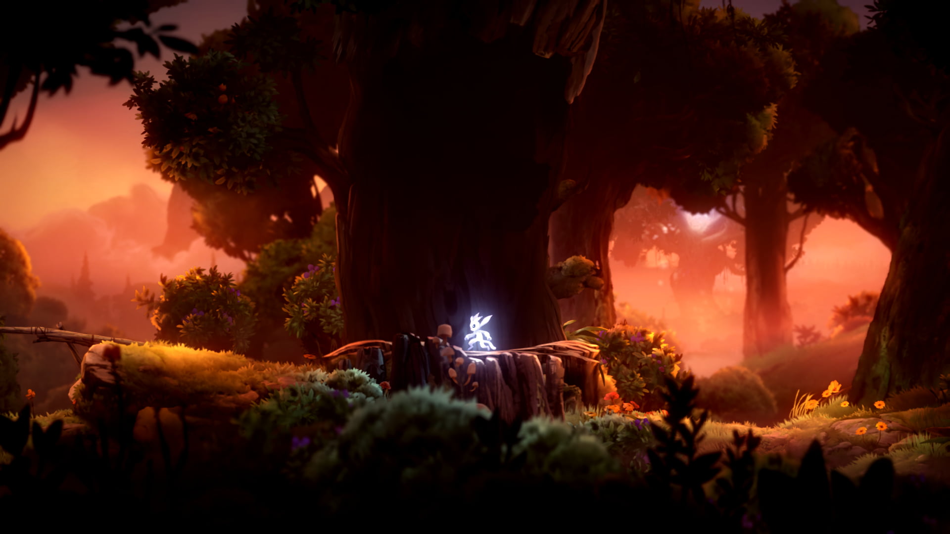 1080P, Ori and the Will of the Whisps, Ori, HD Wallpaper