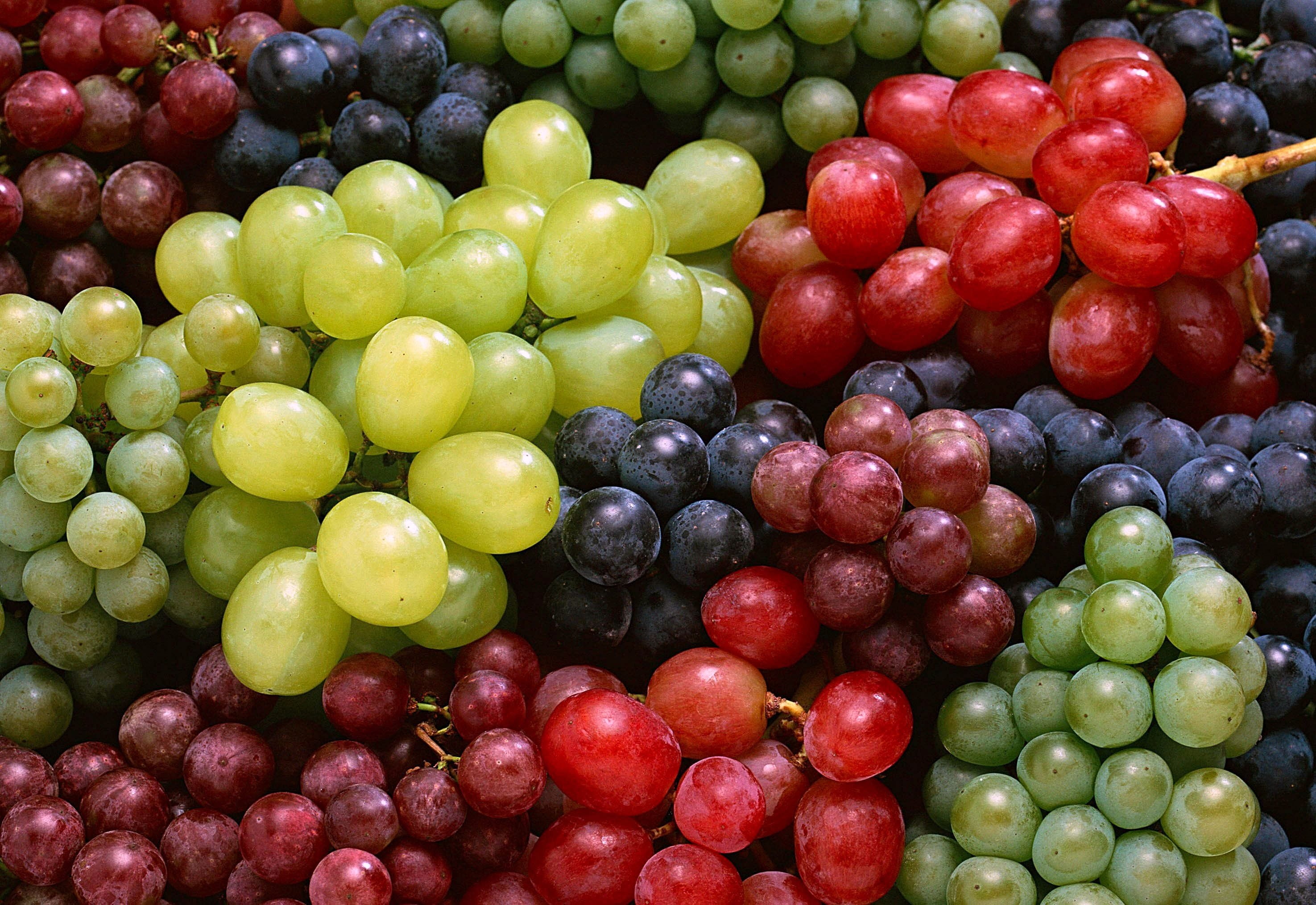 wellbeing, ripe, vegetarian Food, market, autumn, apple, 2K, food, sweet Food, no People, berry Fruit, purple, fruit, vine, bunch, retail, green Color, HD Wallpaper