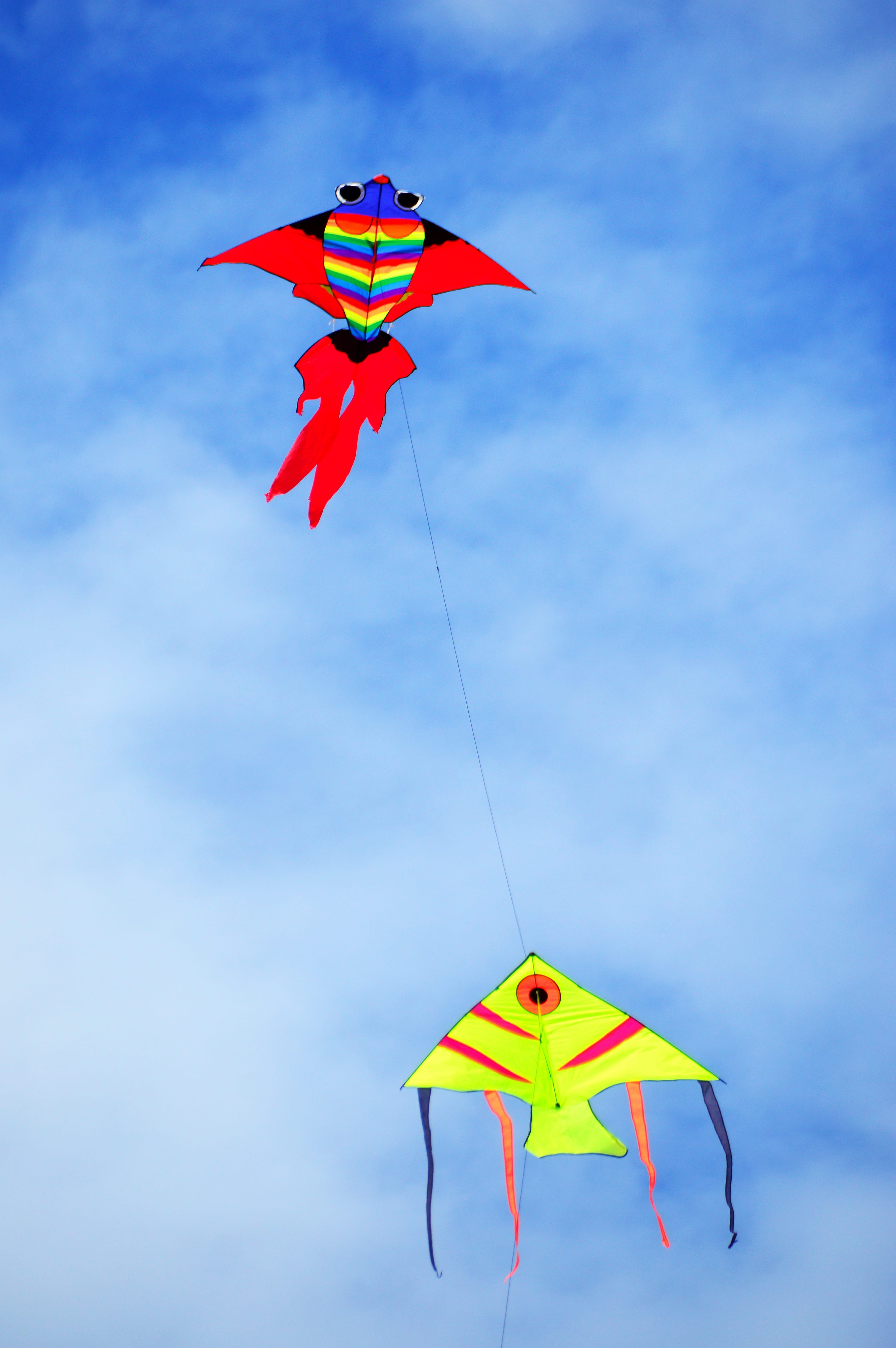 fly, floating, no people, representation, blue, entertainment, day, fun, sky, kites, 5K, outdoors, dom, art and craft, flying, animal representation, creativity, Phone HD Wallpaper