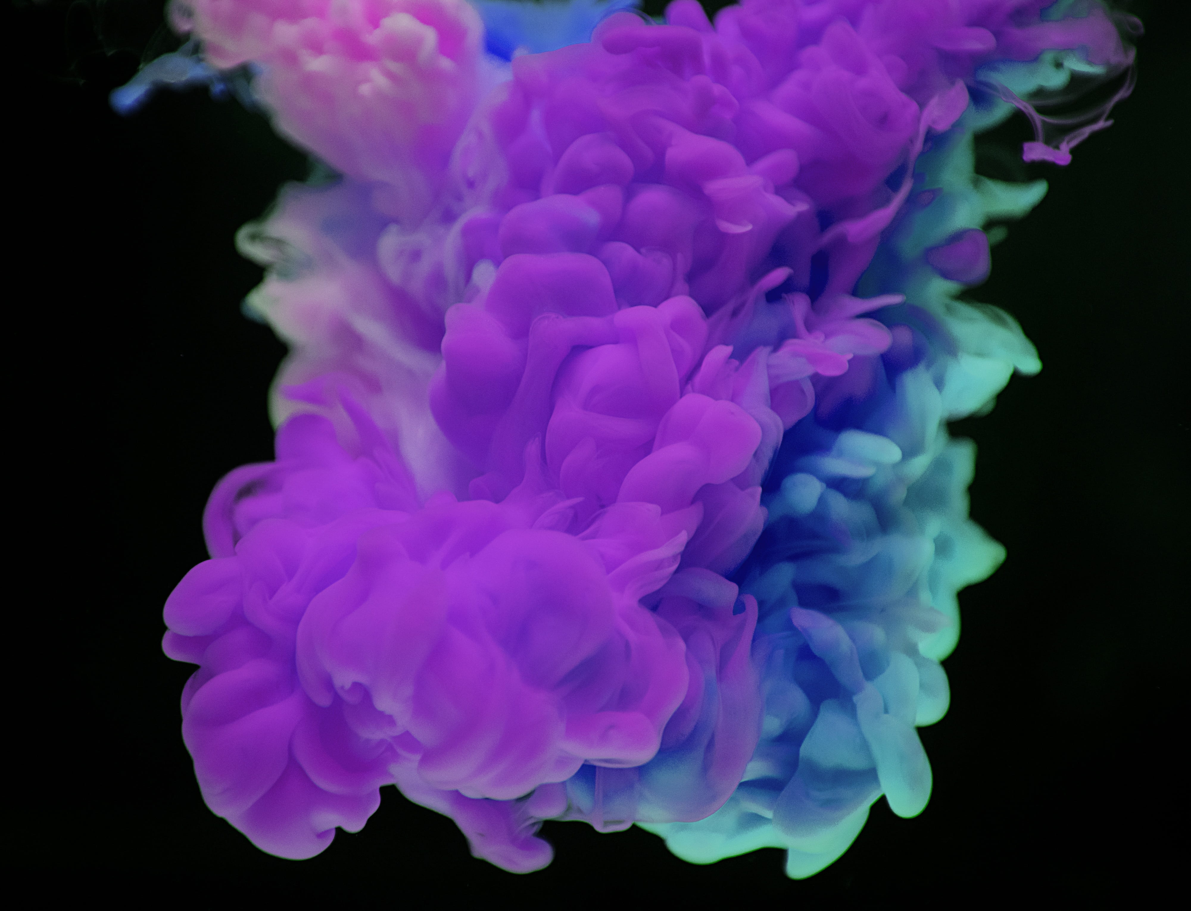 drip, art, color blending, vulnerability, design, beauty in nature, indoors, underwater, softness, flower, chemical, flower head, fancy, color, sea, nature, HD Wallpaper