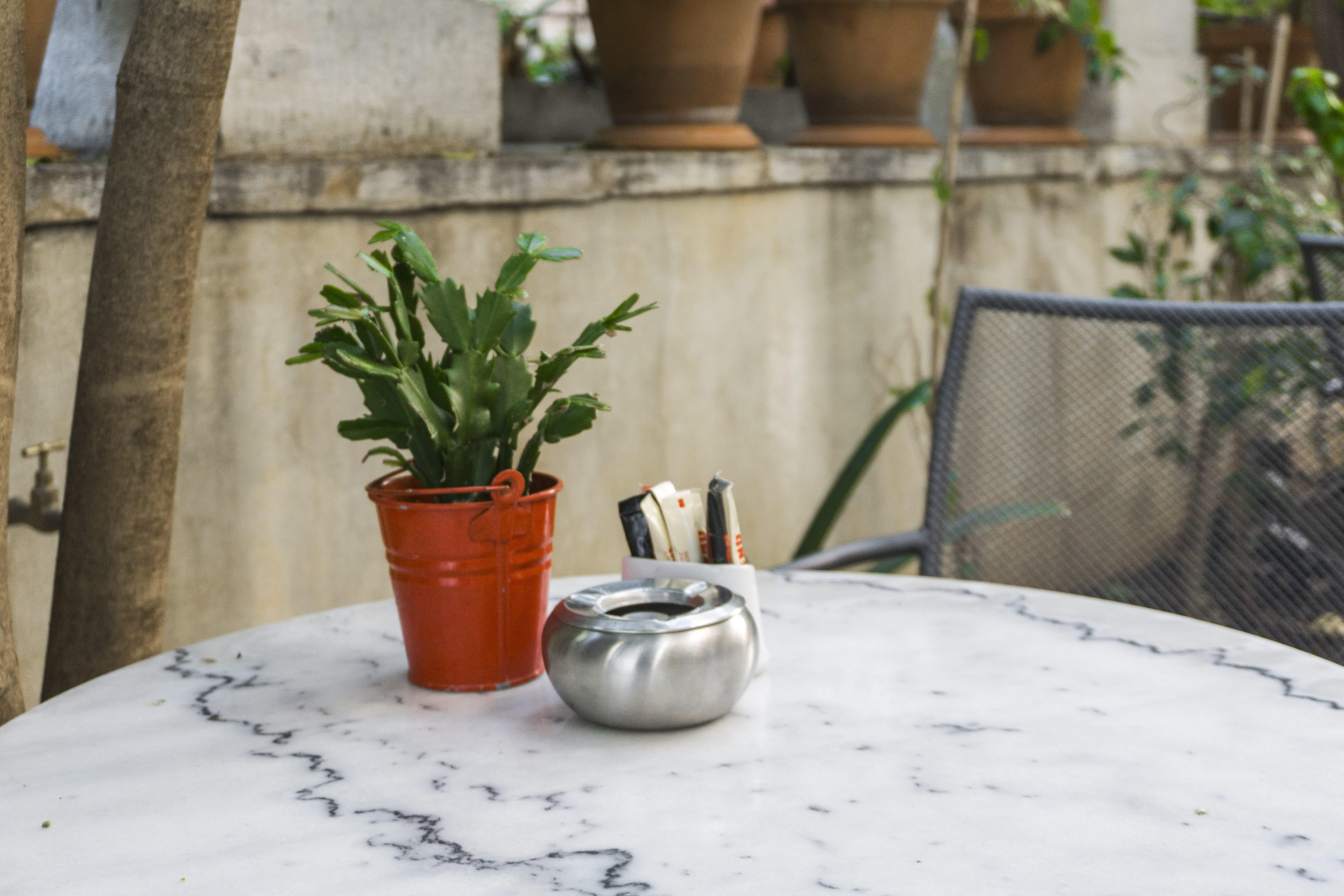 growth, focus on foreground, table, brown, pepper - seasoning, seasoning, day, food, tale, no people, nature, pepper shaker, food and drink, grey, flower pot, HD Wallpaper