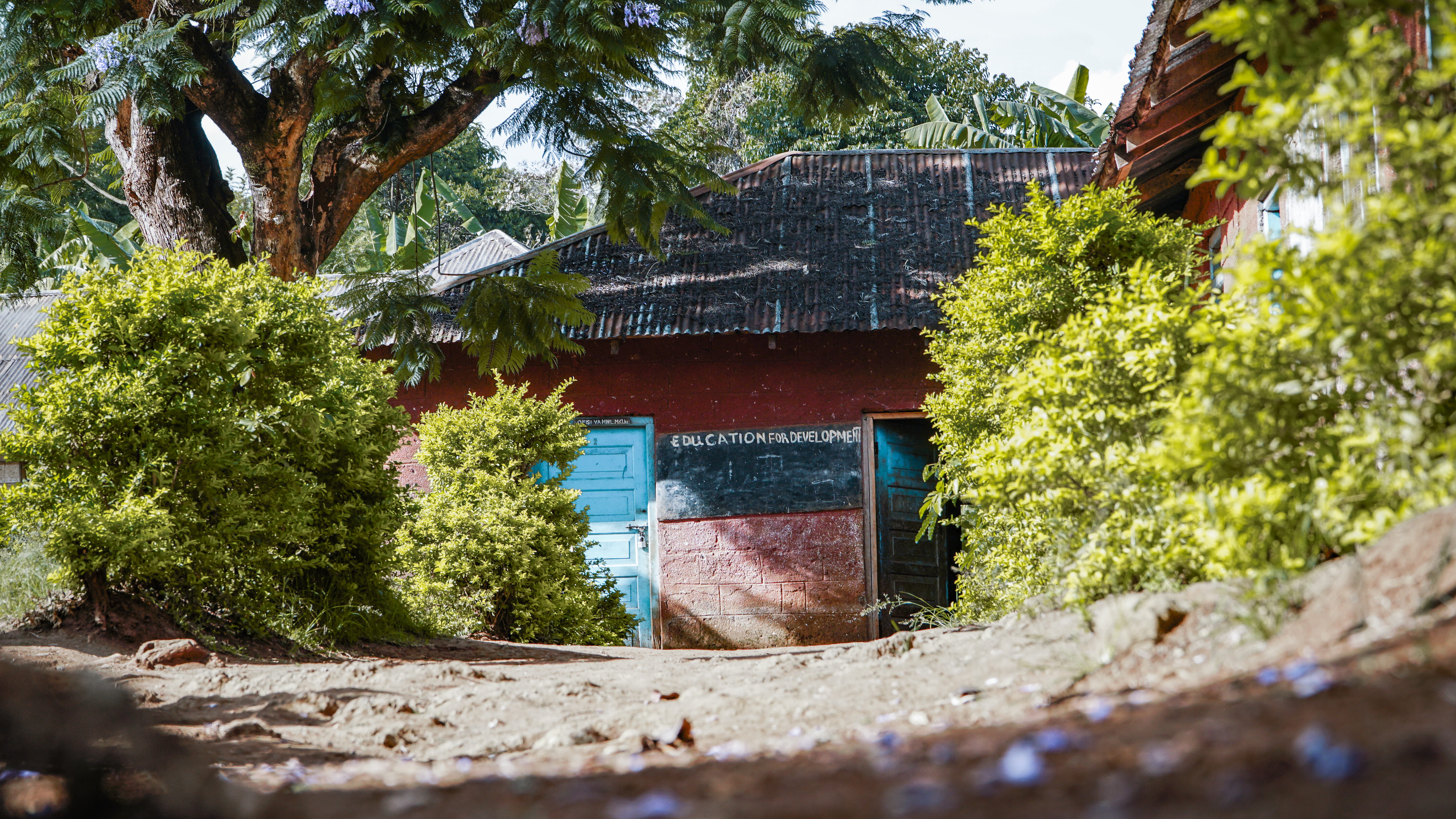 urban, red, housing, shelter, city, beauty in nature, hut, road, tin, tree, nature, rural, architecture, cottage, cabin, water, sunlight, dirt road, growth, HD Wallpaper