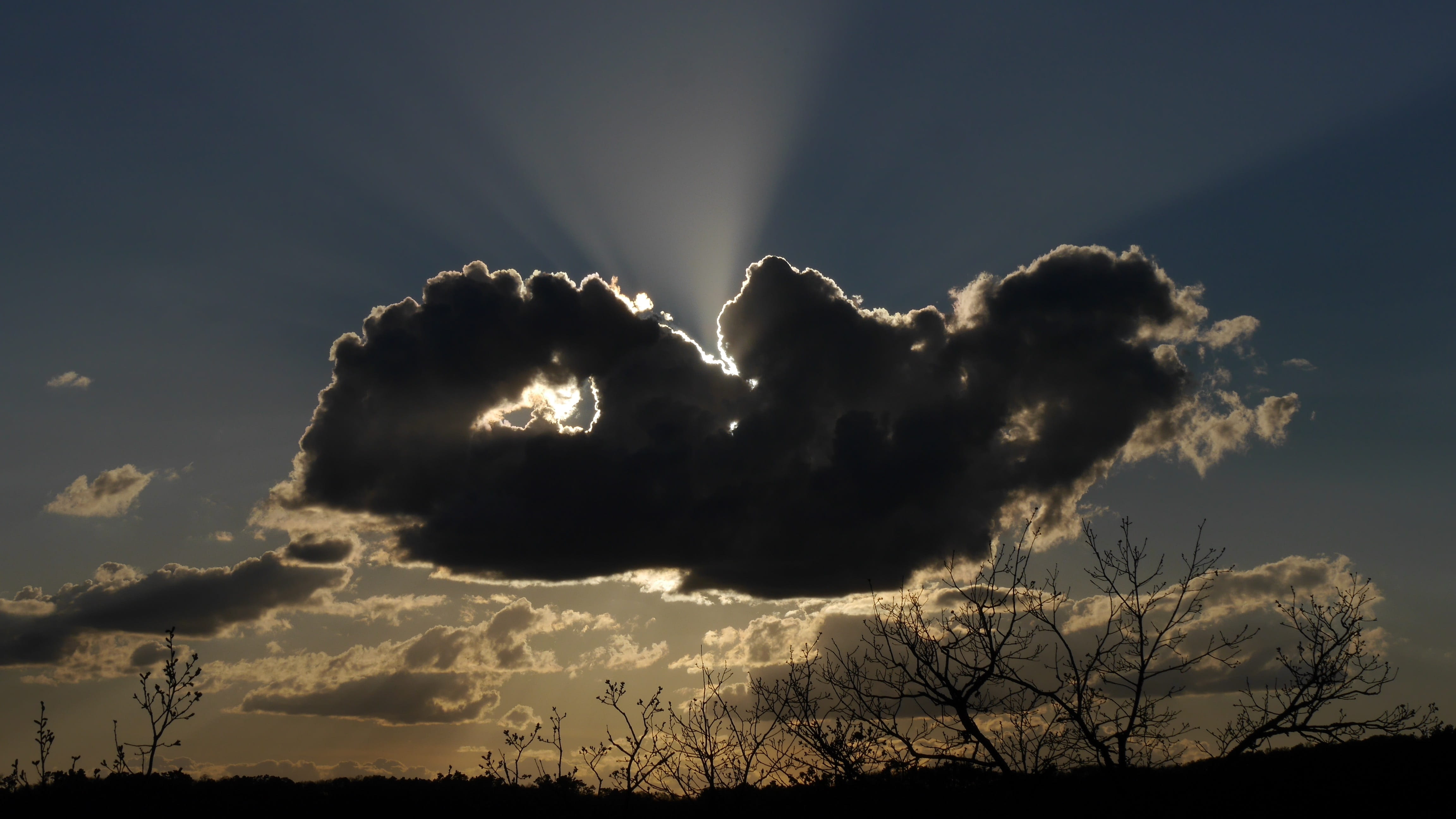nature, low angle view, cloud - sky, plant, tranquility, environment, beauty in nature, prayssac, dark, bal masqué, sunbeam, sunlight, back lit, france, HD Wallpaper