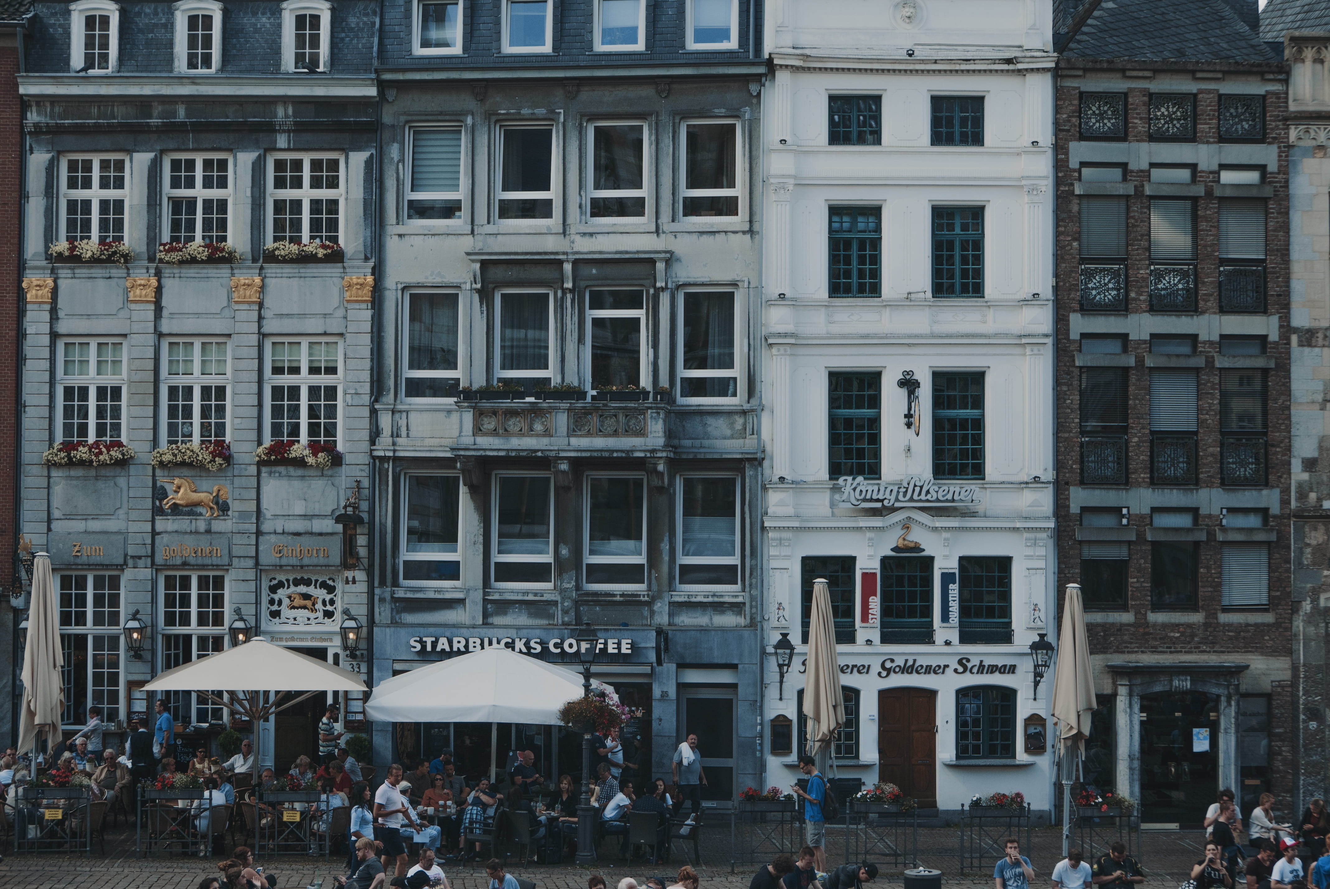 city Life, adult, town, Starbucks Coffee, leisure activity, incidental people, window, residential district, crowd, white, outdoors, men, large group of people, HD Wallpaper