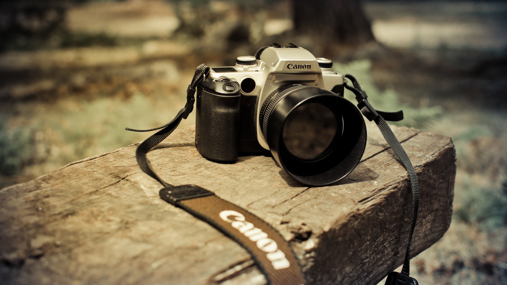 close-up, technology, land, selective focus, activity, old, no people, digital camera, slr camera, 1080P, day, antique, photographic equipment, outdoors, HD Wallpaper