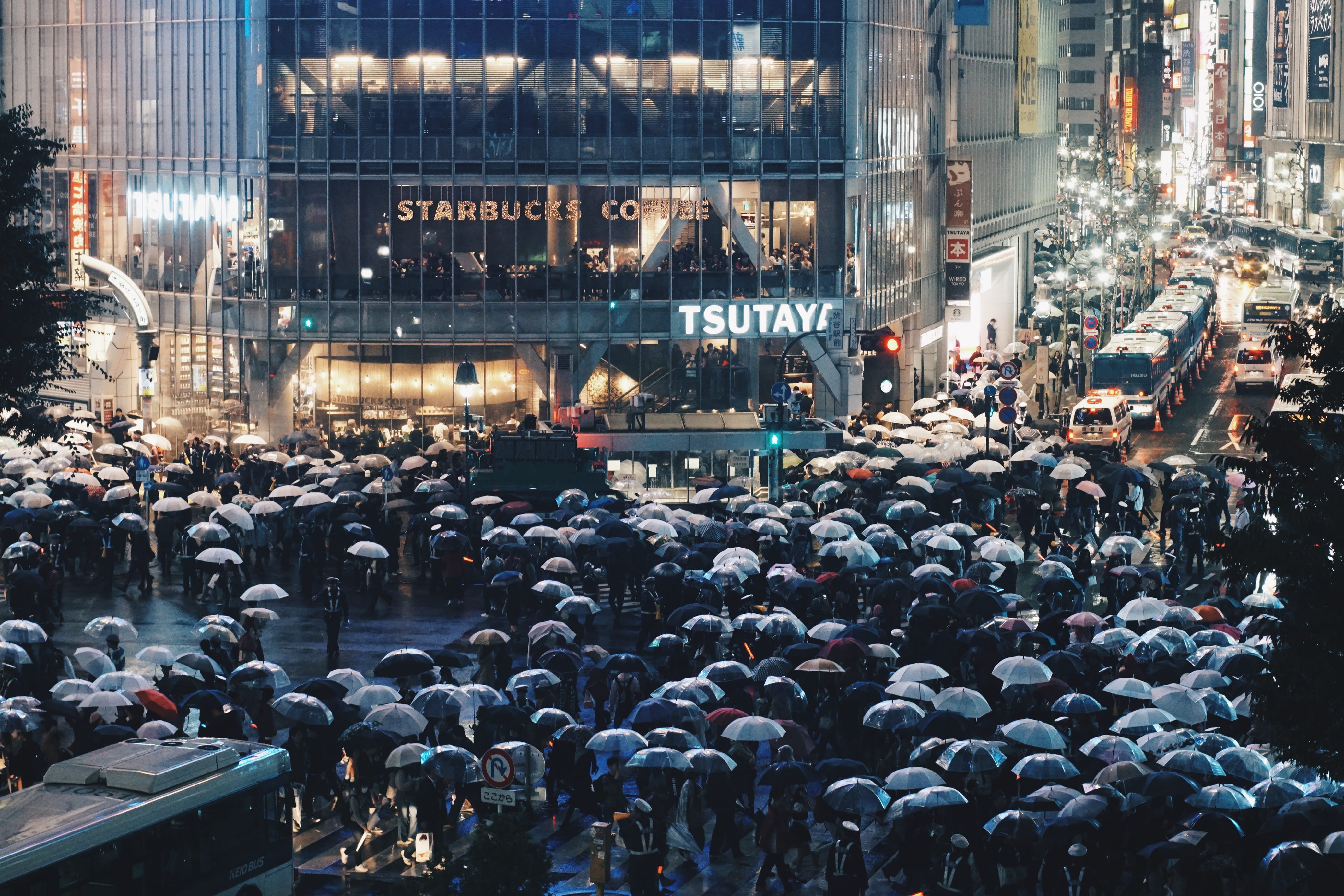 architecture, holding, group of people, street, advertisment, rain, umbrellas, outdoors, city life, women, people, real people, crowd, 4K, men, night, HD Wallpaper