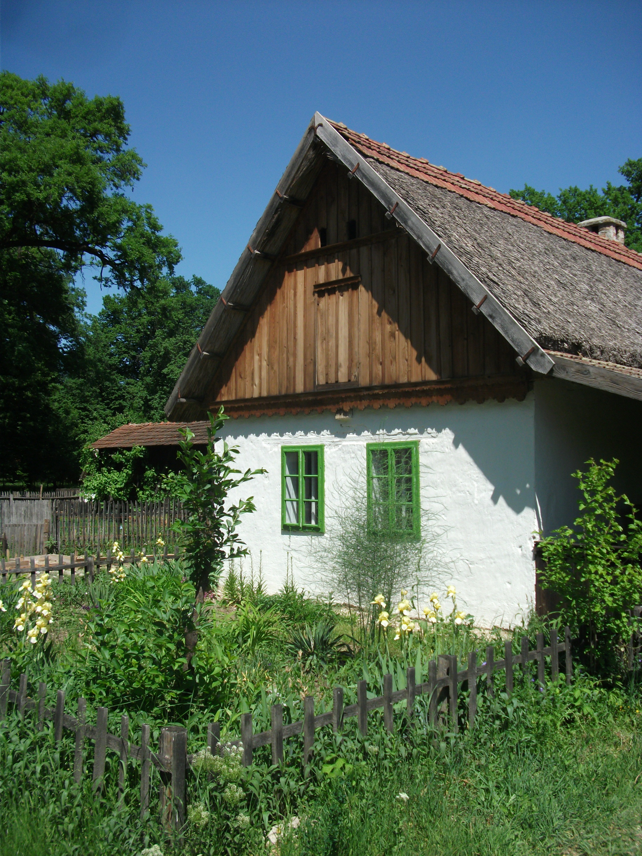 green color, building exterior, architecture, water, built structure, wood - material, plant, day, land, old, no people, home, sky, growth, outdoors, timisoara, Phone HD Wallpaper