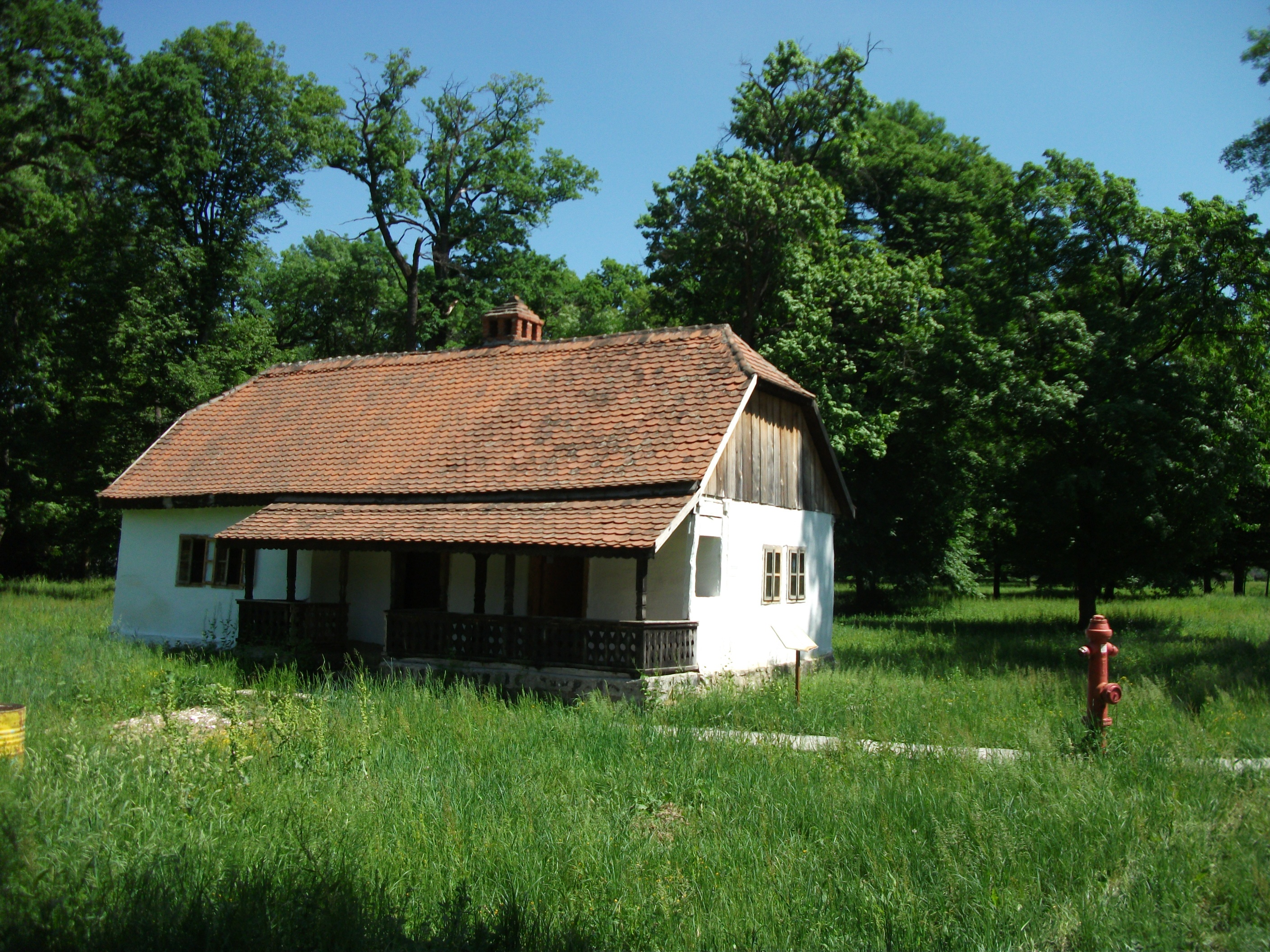 timisoara, residential district, house, museum, roof, traditional, growth, romanian, green color, grass, old, land, no people, built structure, field, 2K, HD Wallpaper