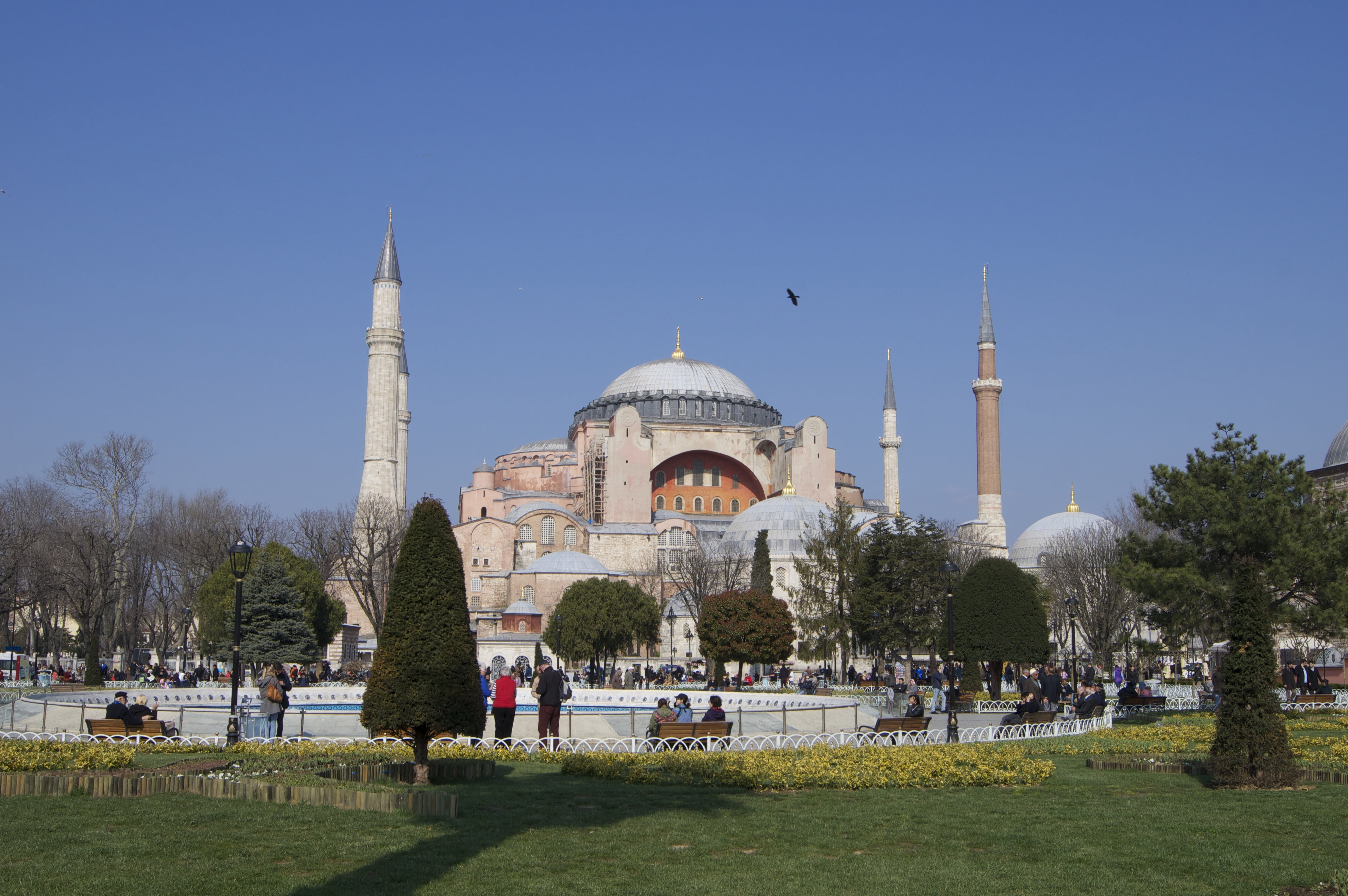 tourism, turkey, dome, tree, religion, 4K, mosque, architecture, building exterior, outdoors, plant, quran, old, muslims, day, place of worship, history, HD Wallpaper