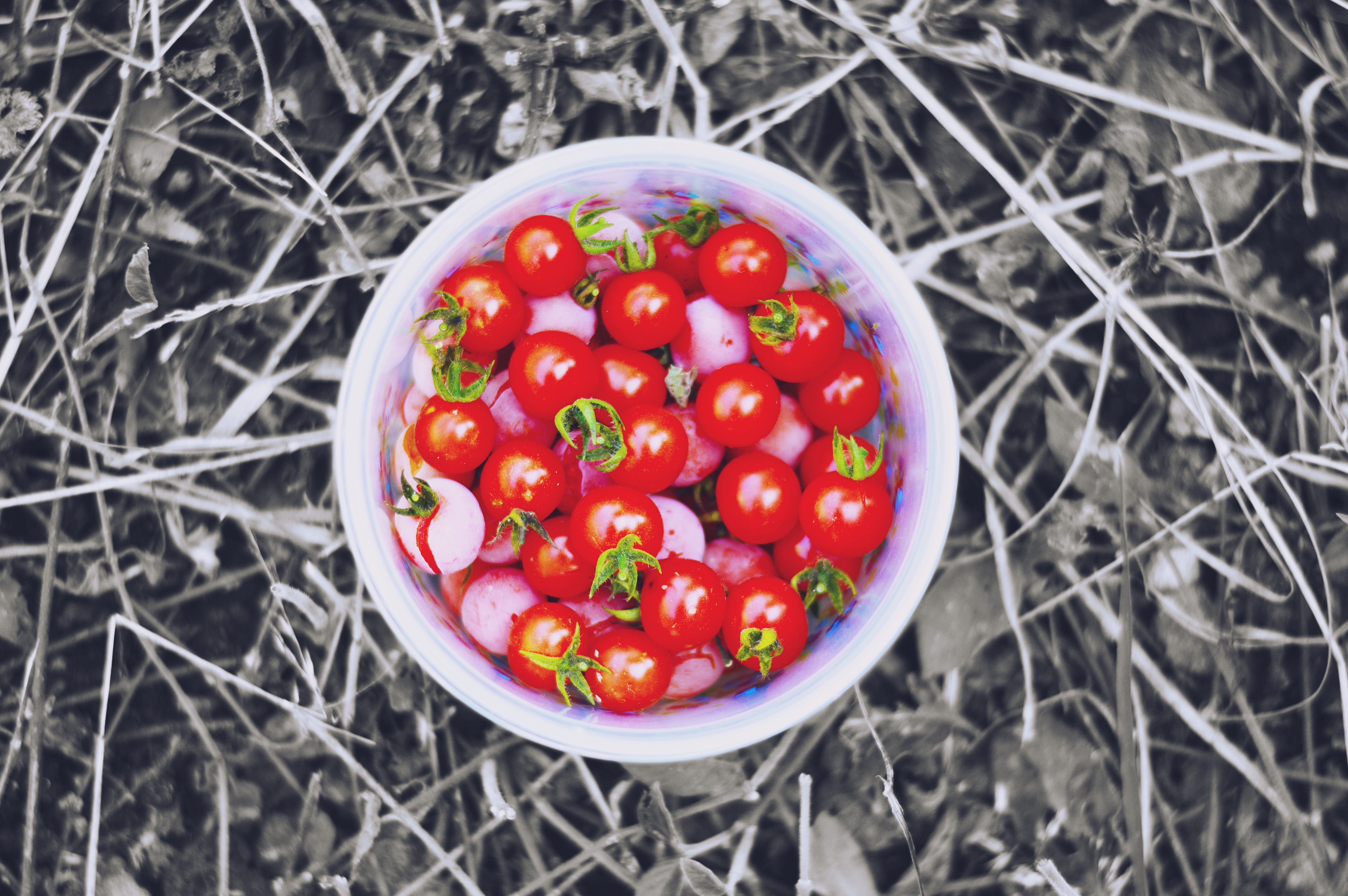 plant, food, food and drink, yuriria, vegetable, outdoors, 5K, red, healthy eating, day, guanajuato, mexico, directly above, tomato, close-up, high angle view, HD Wallpaper