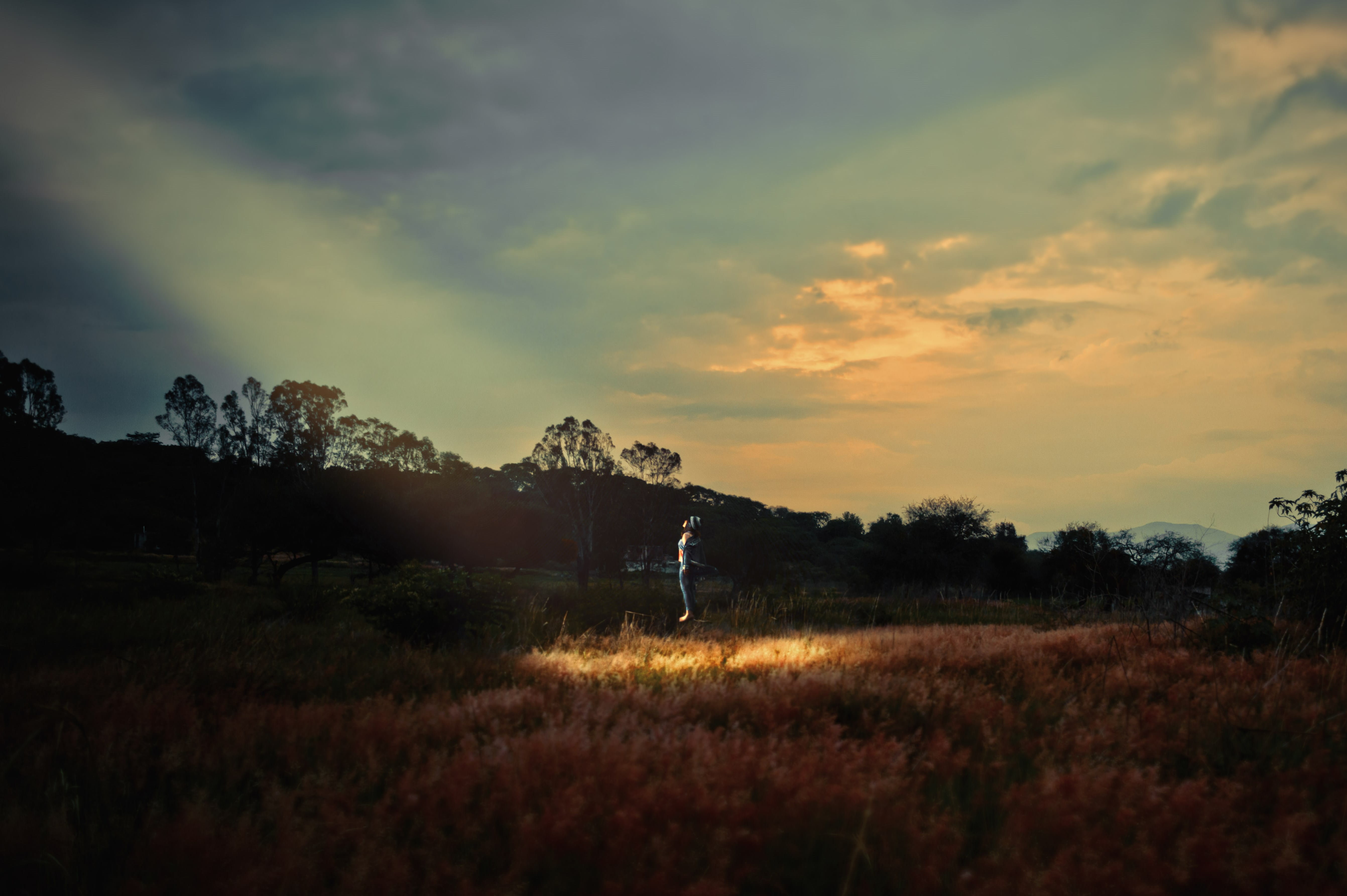 environment, woman, beauty in nature, light, non-urban scene, abandoned, 5K, one person, tranquil scene, plant, mexico, outdoors, tranquility, standing, HD Wallpaper