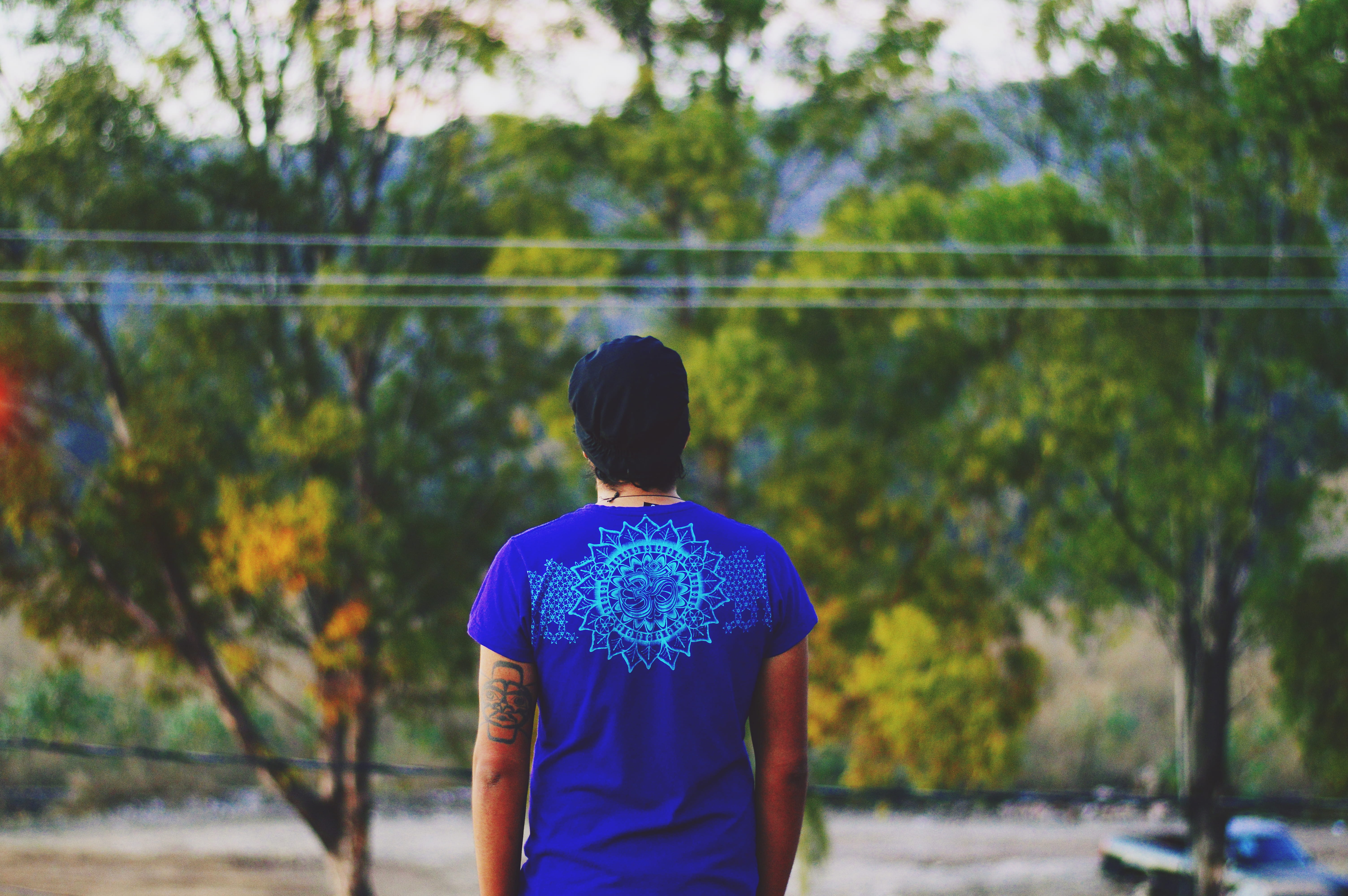 adult, plant, man, hairstyle, males, nature, 5K, waist up, people, rear view, men, lifestyles, mexico, tree, three quarter length, looking at view, forest, HD Wallpaper