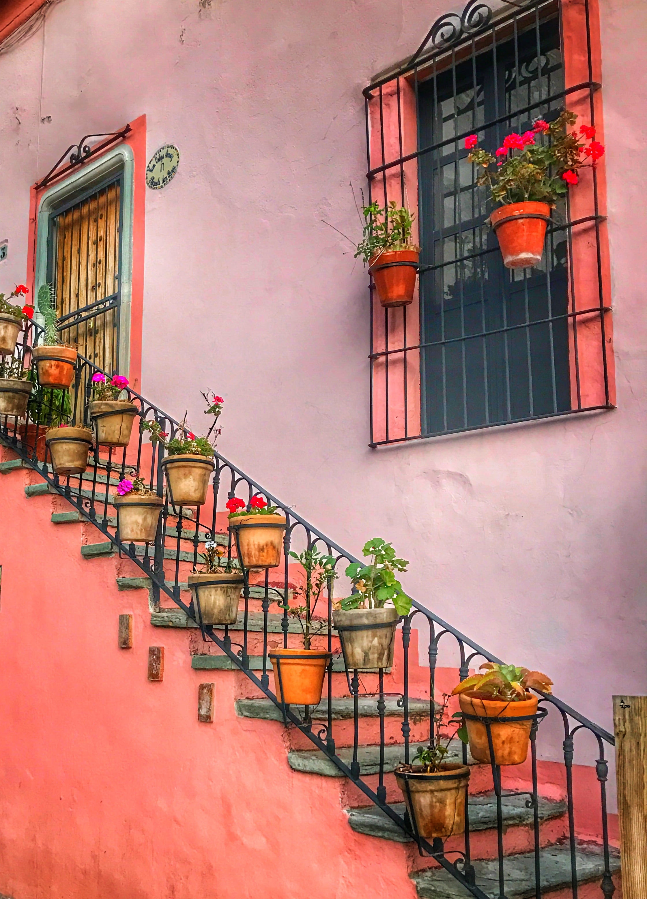 city, house, no people, architecture, window box, flower, railing, balcony, building, historic, colorful, residential district, window, 2K, day, guanajuato, Phone HD Wallpaper