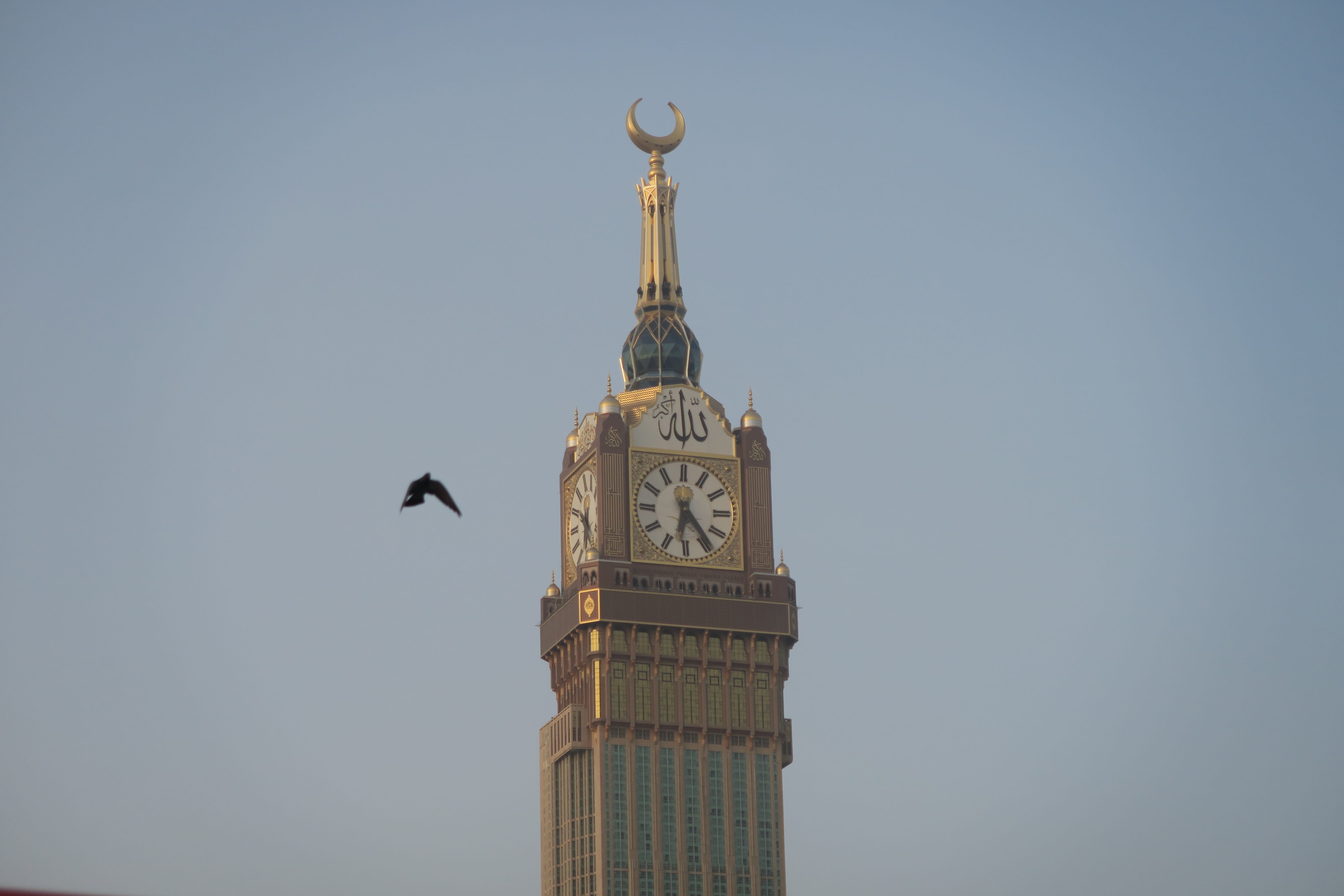religion, place of worship, animal, spire, belief, low angle view, building exterior, skyscraper, animal themes, travel destinations, time, vertebrate, HD Wallpaper