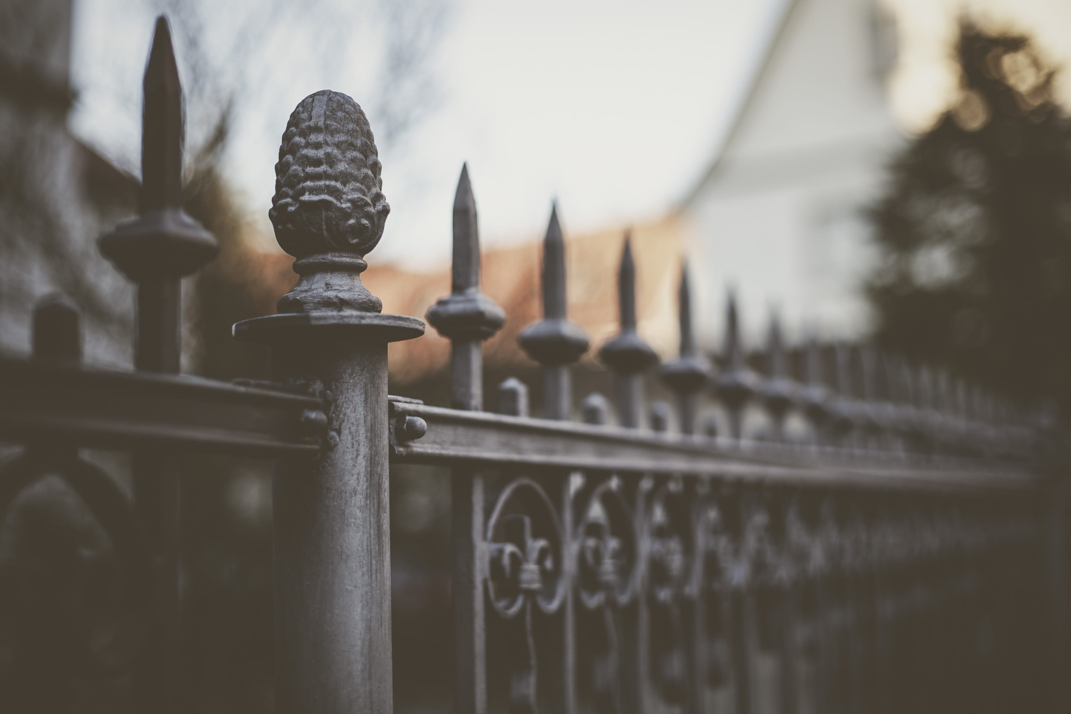 lion, safety, clothing, back, apparel, no people, railing, in a row, outdoors, pine, wrought iron, gate, built structure, close-up, day, mammal, protection, HD Wallpaper