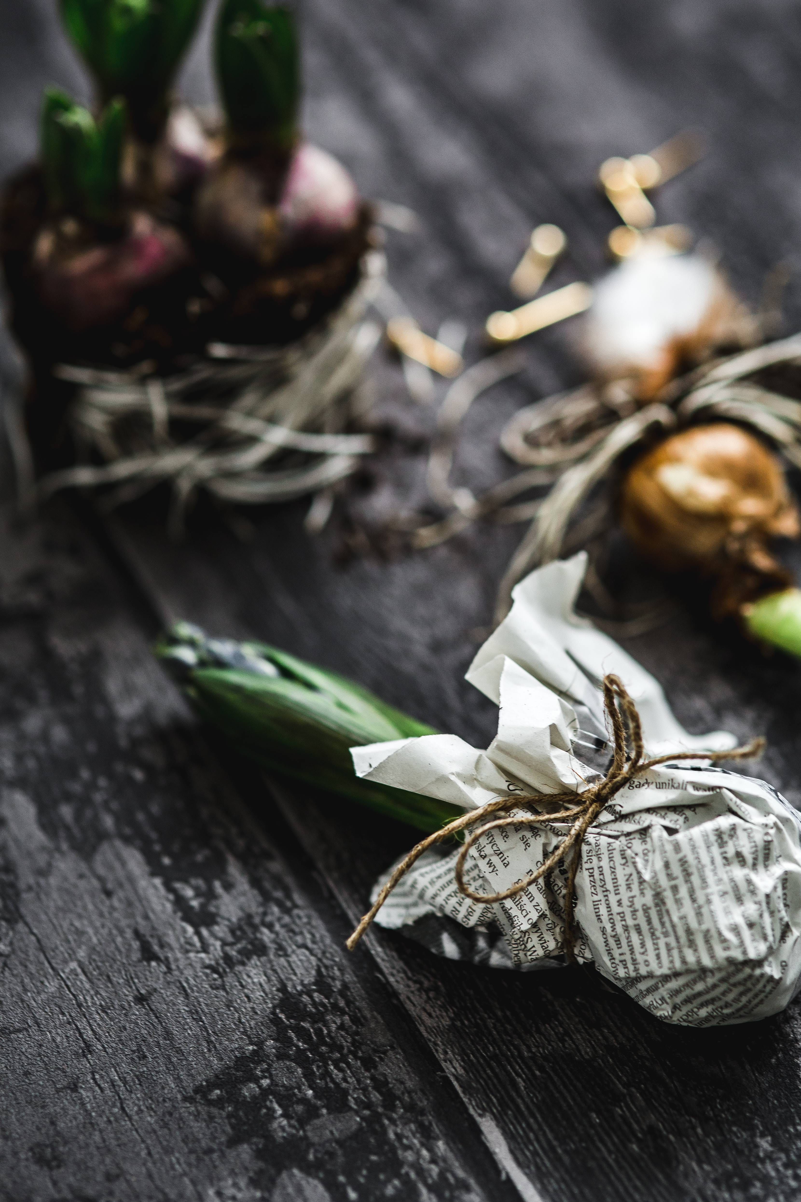 selective focus, decoration, leaves, 4K, ornamental, planting, seedling, nature, little, table, jar, plant part, garlic, indoors, close-up, wellbeing, Phone HD Wallpaper
