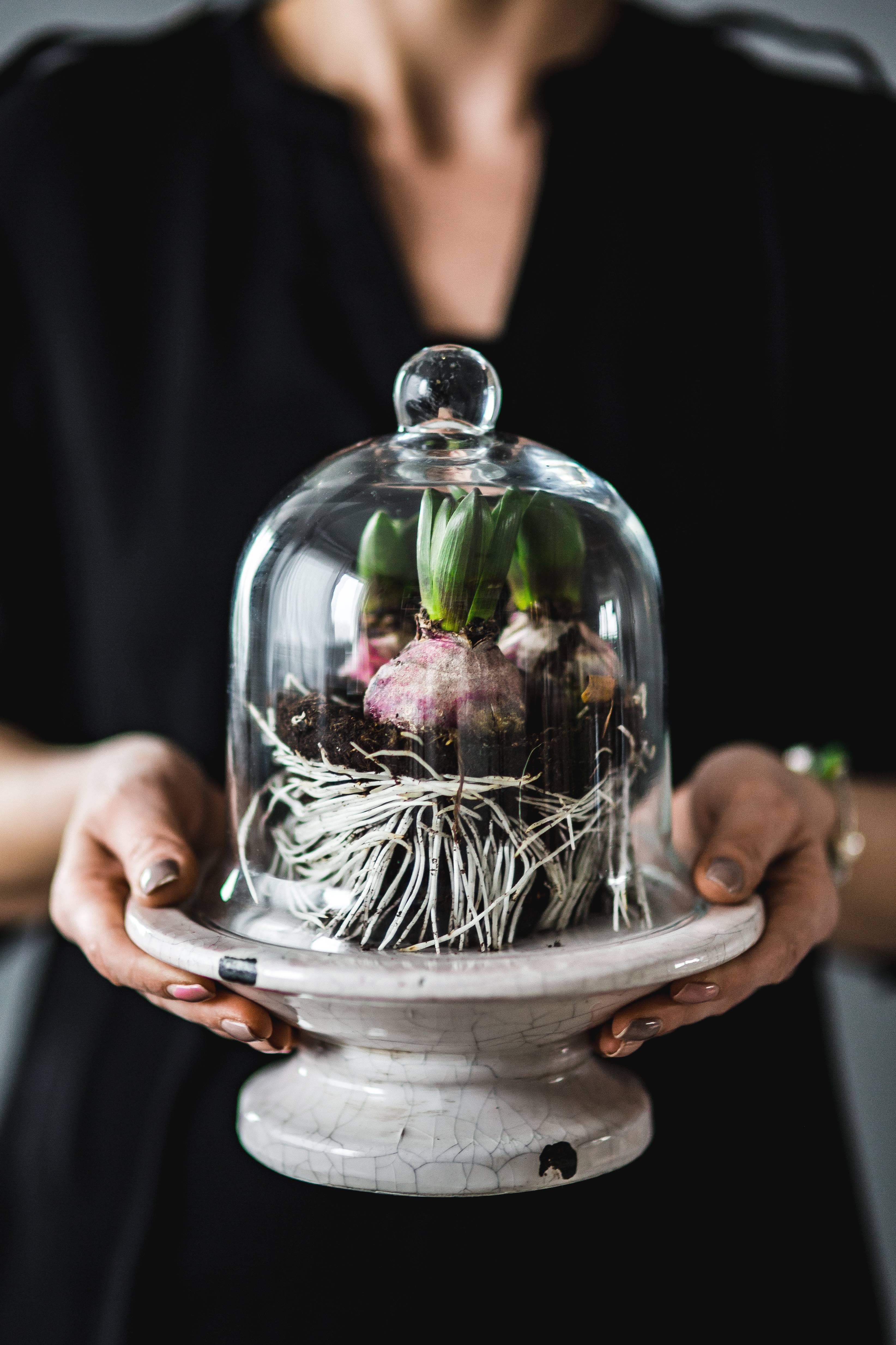 people, human Hand, seed, adults only, transparent, decoration, closeup, close-up, women, focus on foreground, ornament, men, container, midsection, 4K, Phone HD Wallpaper