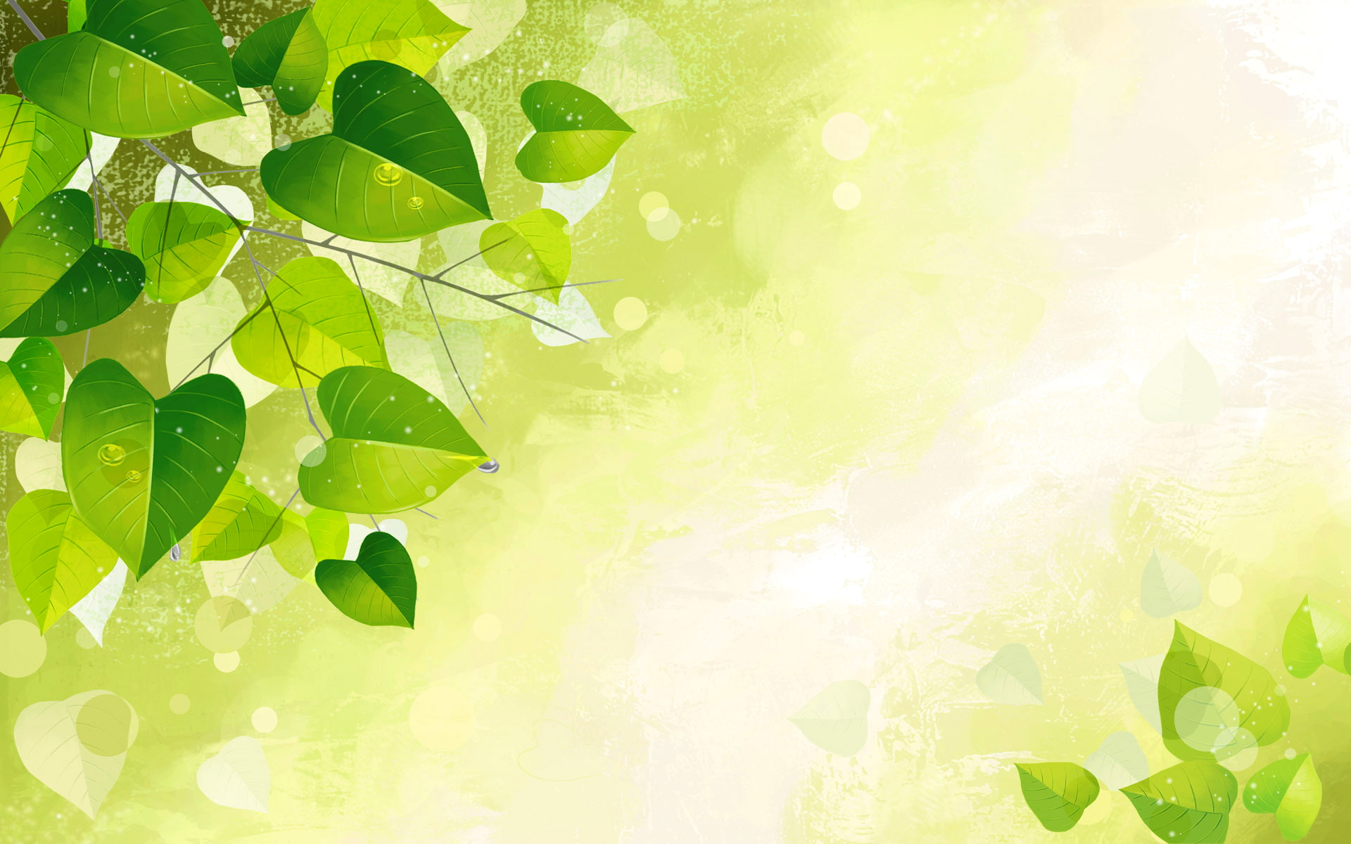 texture, plants, drop, dew, nature, leaves, leafed, ovate, 1080P, green, HD Wallpaper