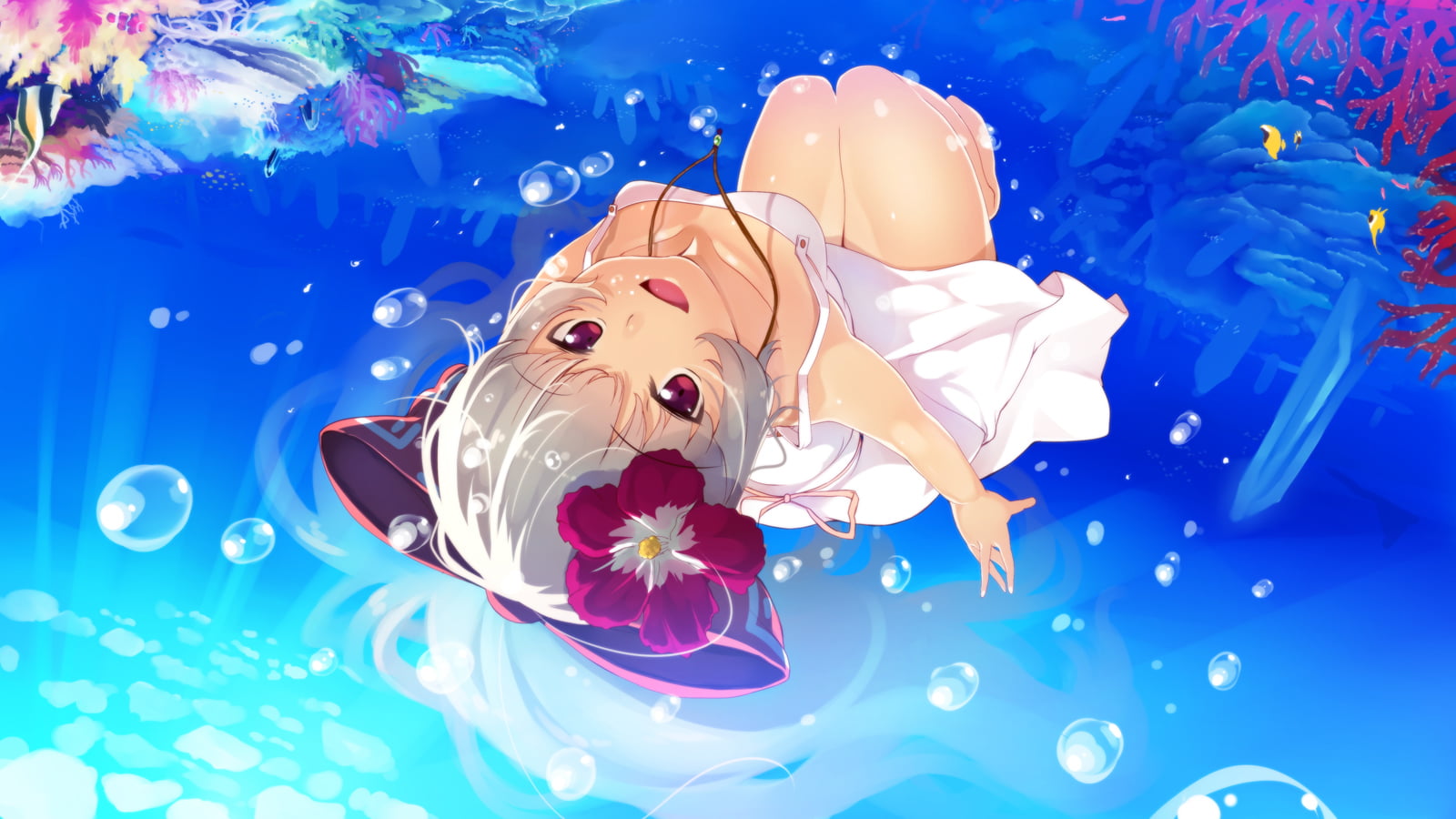 mammal, nature, multi colored, mokou, floating on water, blue background, eyes, gray, close-up, fujiwara, animal representation, representation, long, touhou, HD Wallpaper