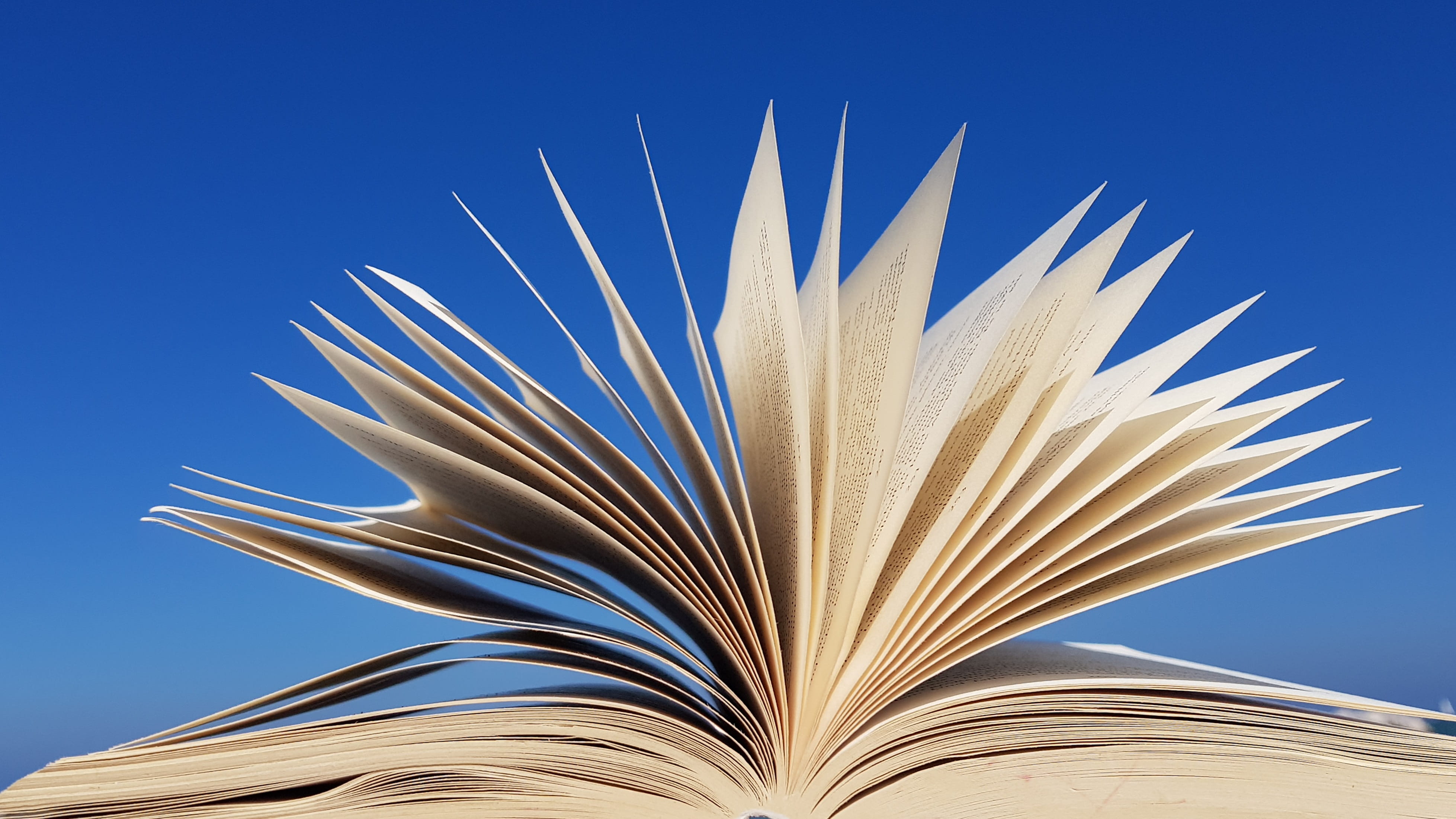 close-up, reading, read, book, clear sky, flying, wisdom, wind, nature, single object, literature, blue background, sky, book open, time out, copy space, HD Wallpaper