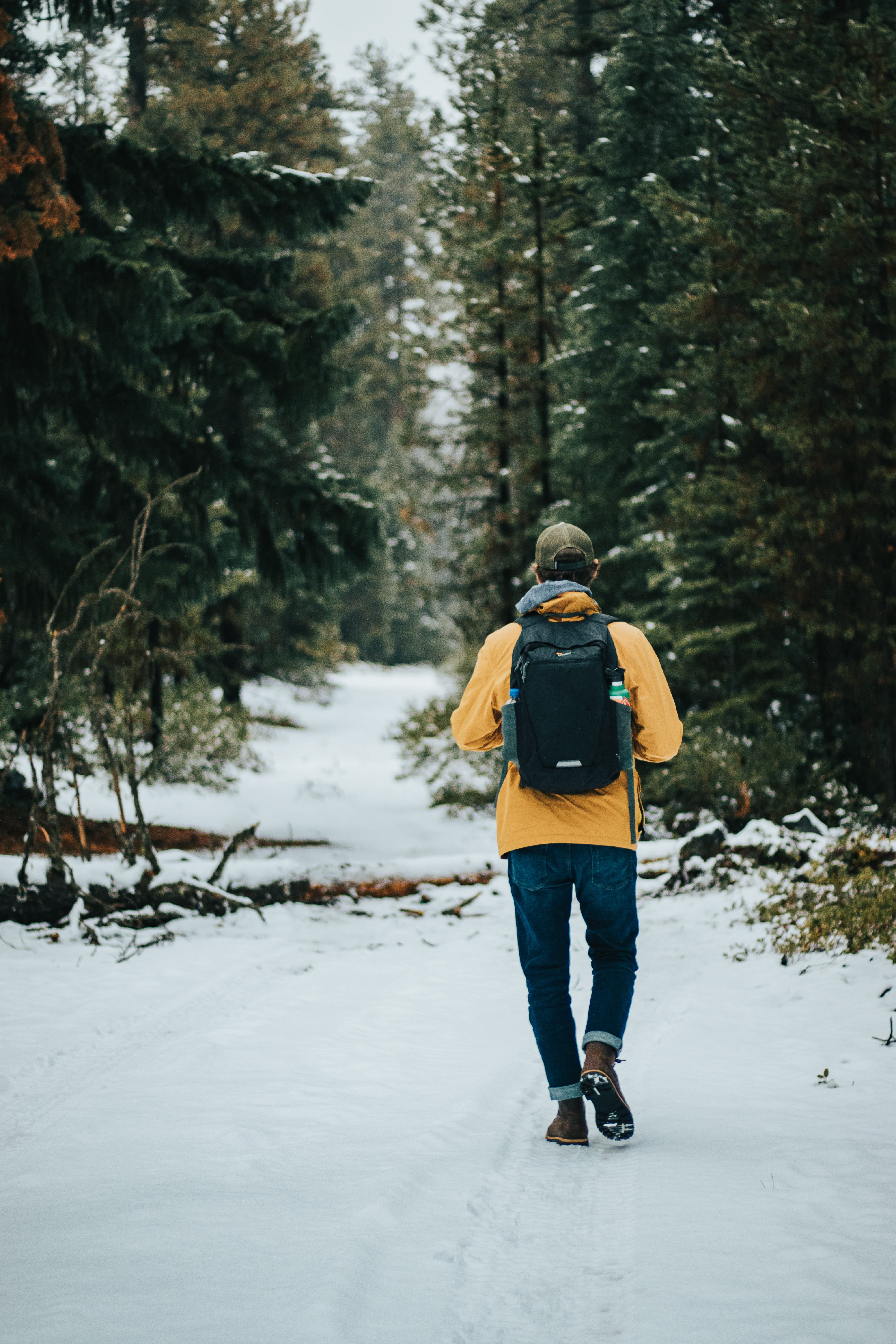 day, warm clothing, land, person, sports, outdoors, cold temperature, lifestyles, shoe, plant, one person, ice, snow, footwear, nature, tree, apparel, carrying, Phone HD Wallpaper