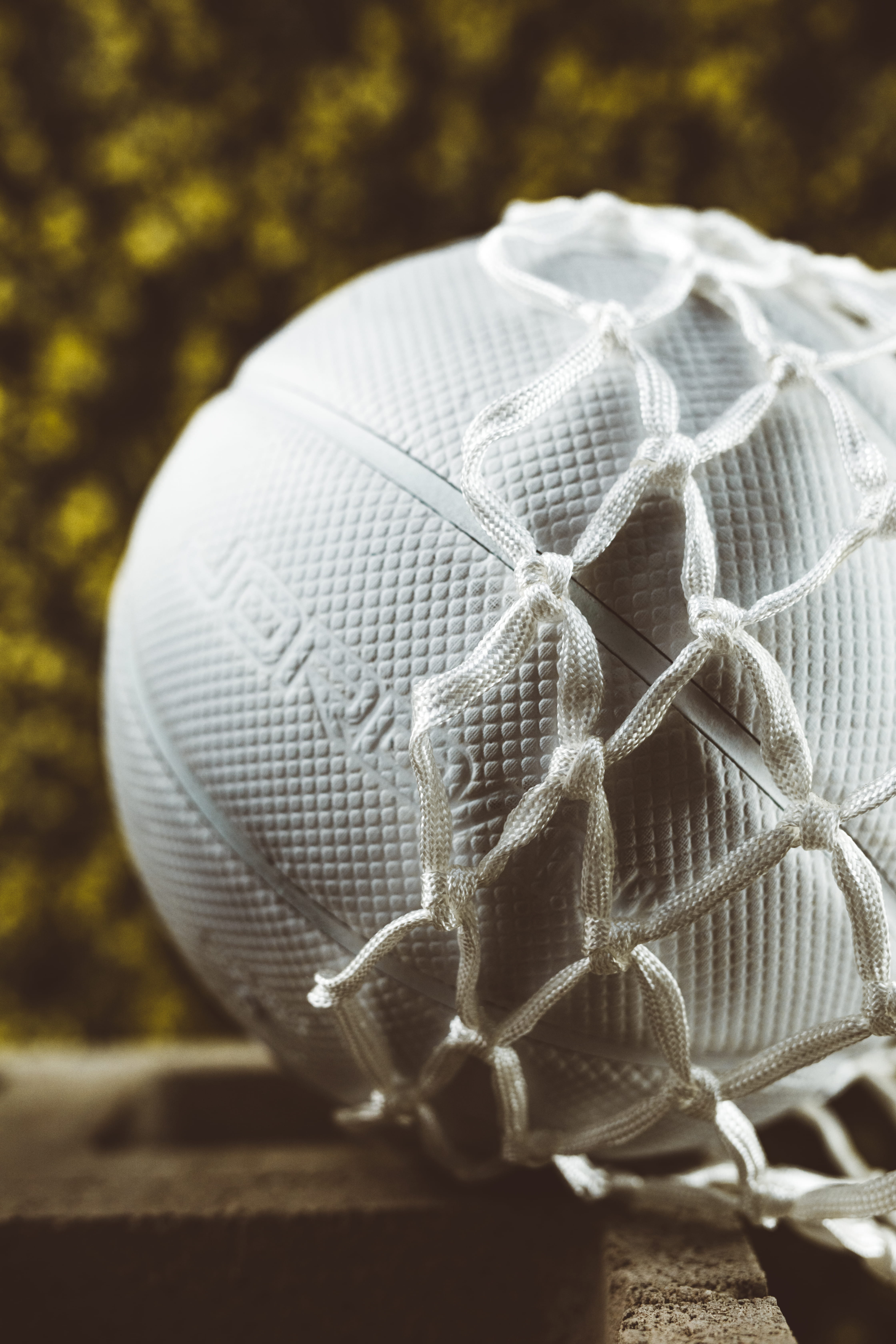 clothing, nature, hat, bird, 5K, netting, whute, animal wildlife, team, sports equipment, single object, beanie, reptile, net - sports equipment, white color, Phone HD Wallpaper