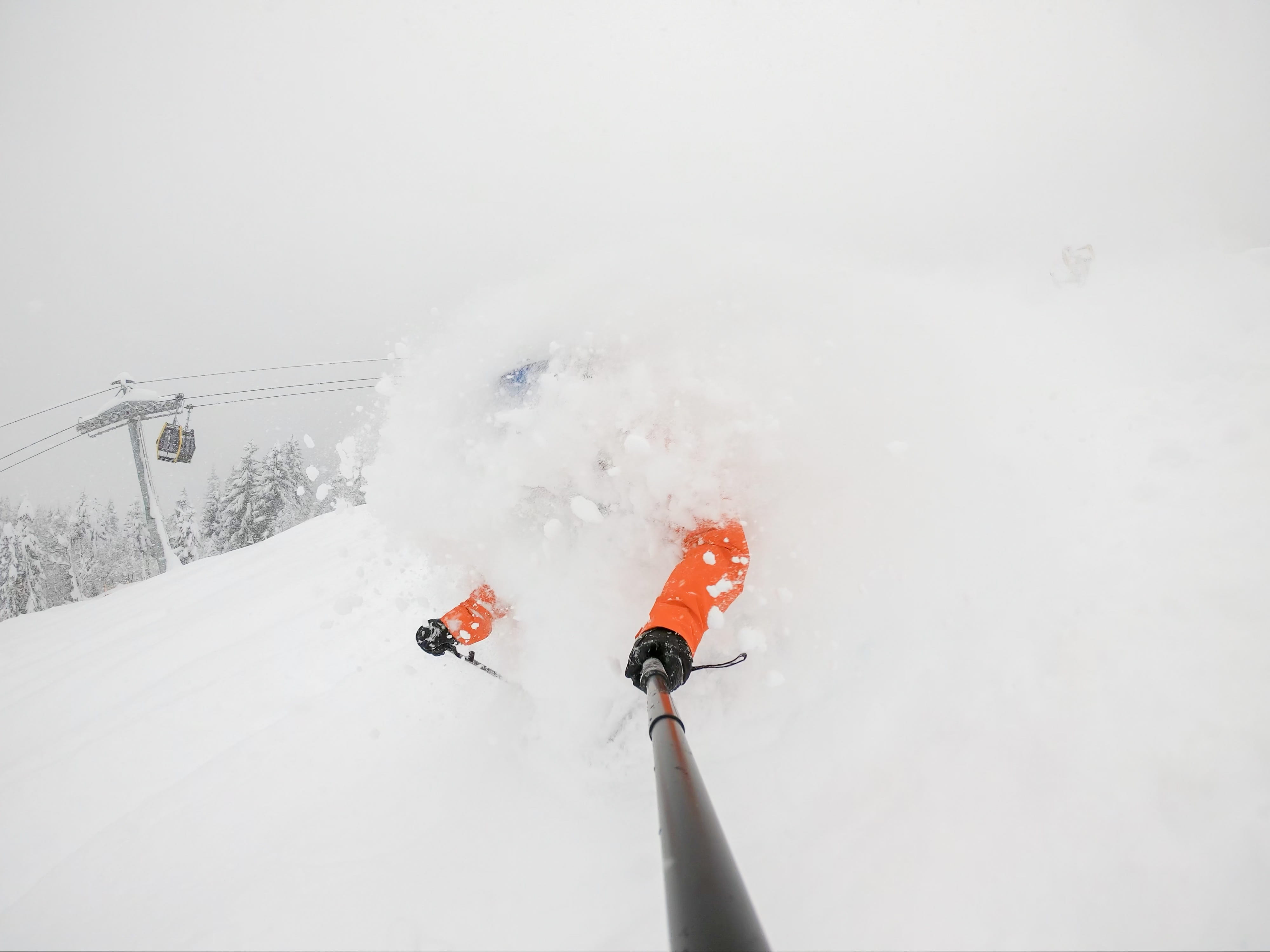 winter, plant, outdoors, winter sport, trip, time, motion, vacations, white color, 4K, covered, mountain, apparel, scenics - nature, clothing, snowboarding, HD Wallpaper