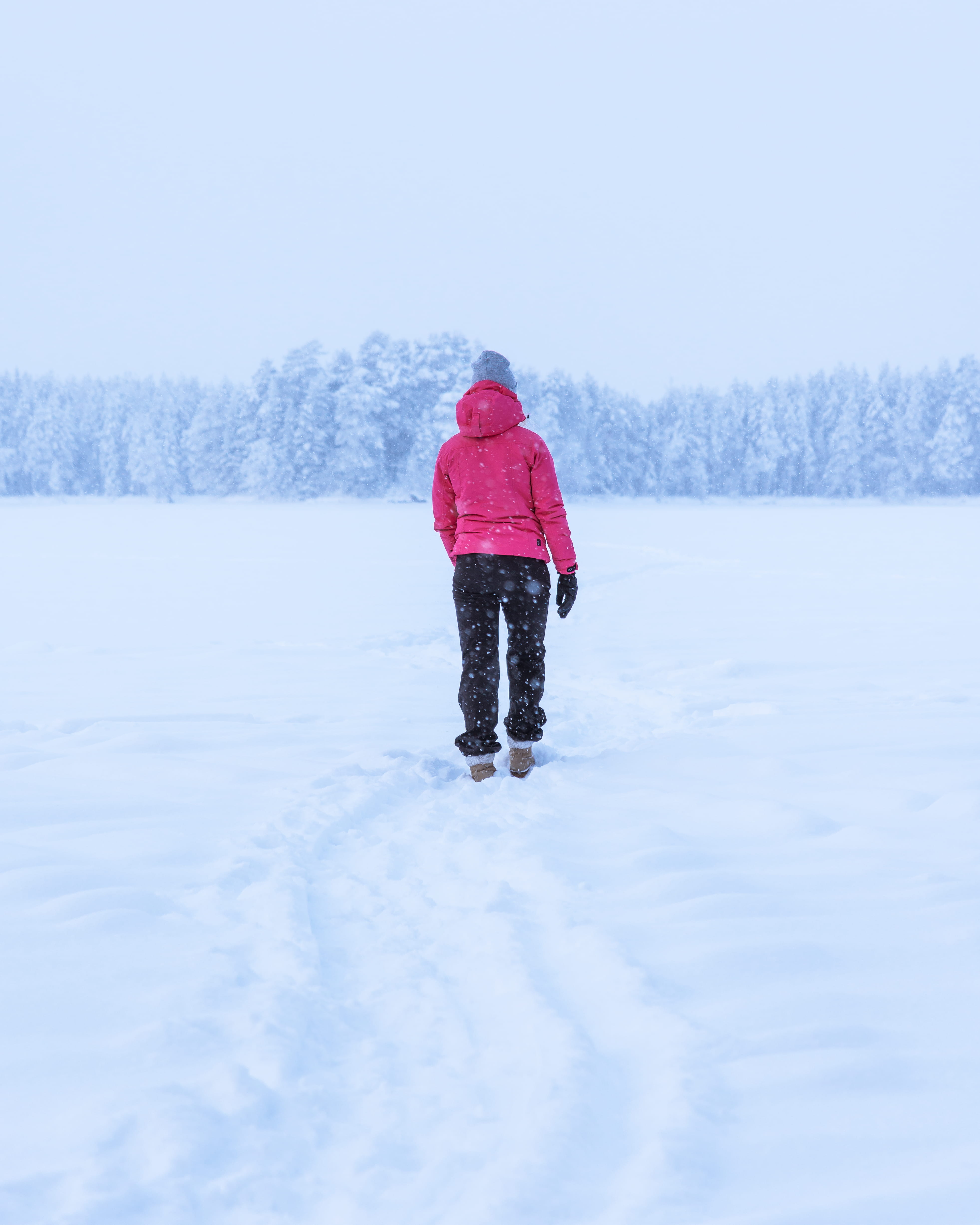 warm clothing, piste, rink, sport, women, plant, 4K, snow, sled, hoodie, walking, scenery, covering, land, extreme weather, day, cold temperature, outdoors, Phone HD Wallpaper