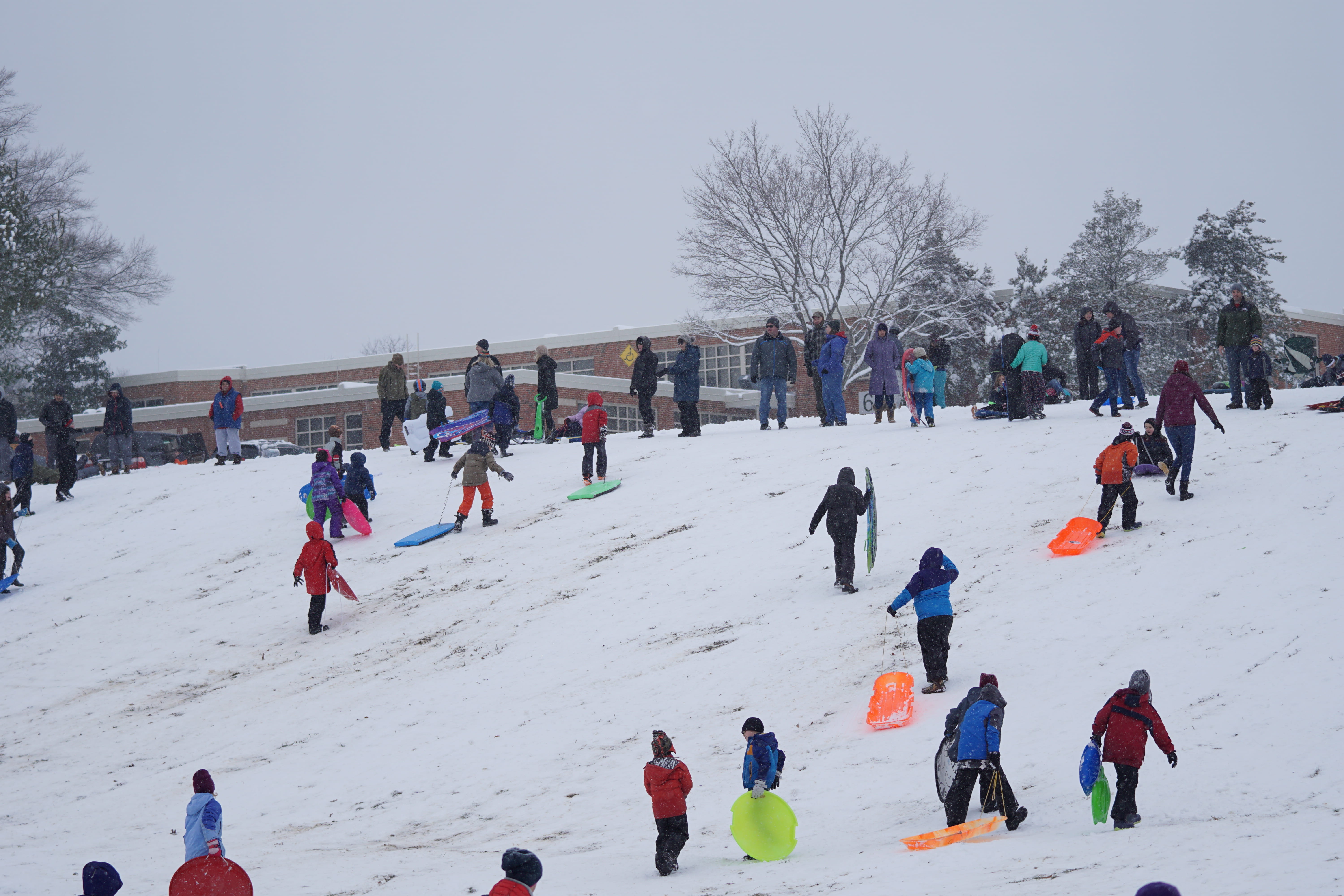 tire, outdoors, sleeve, apparel, slide, 5K, snow, person, ice, winter, land, human, slope, toy, lifestyles, tree, warm clothing, men, covering, group of people, HD Wallpaper