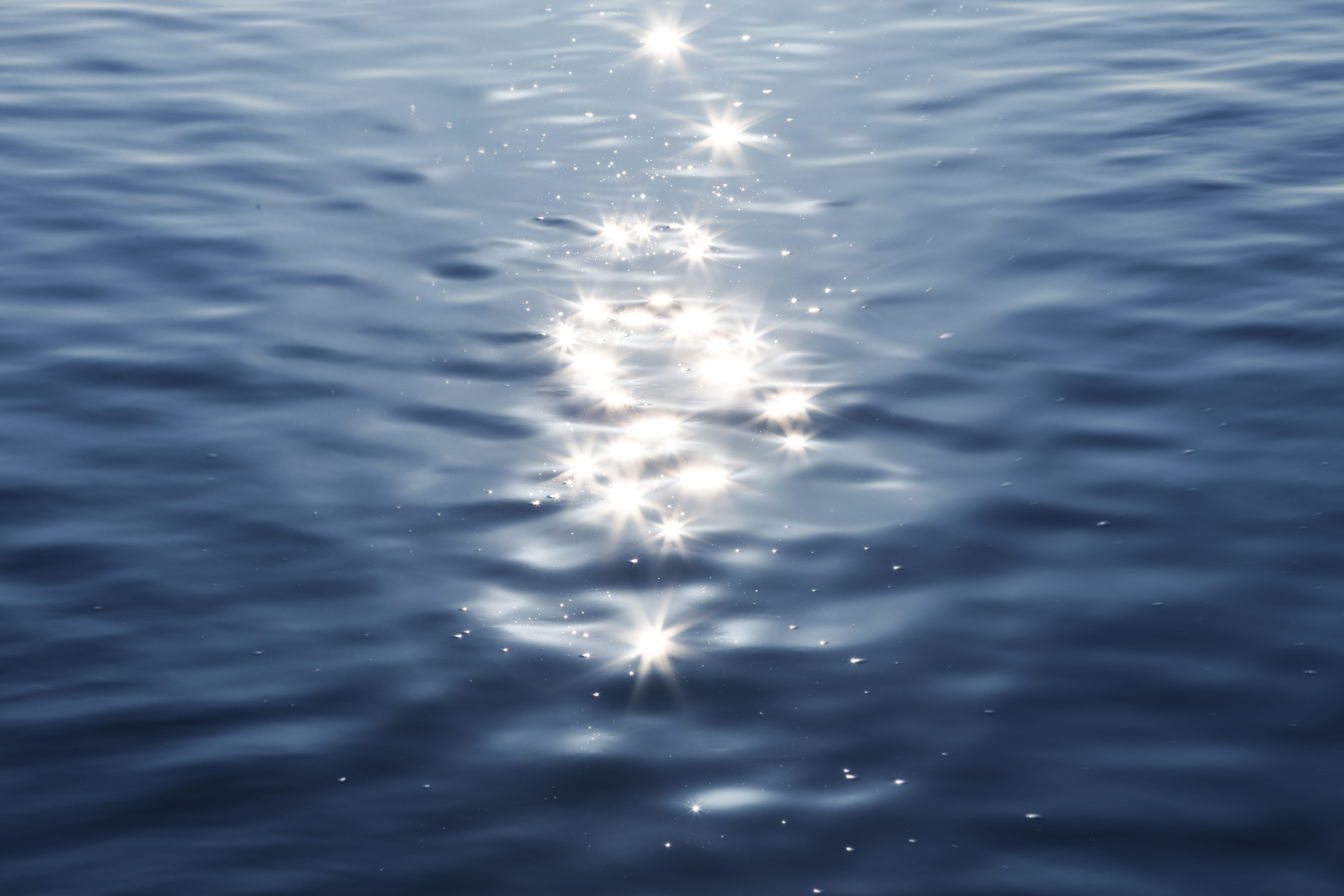 plant, light, sky, reflection, sunlight, flare, tree, puddle, sea waves, headlight, no people, snowflake, ornament, backgrounds, rippled, outdoors, fractal, HD Wallpaper