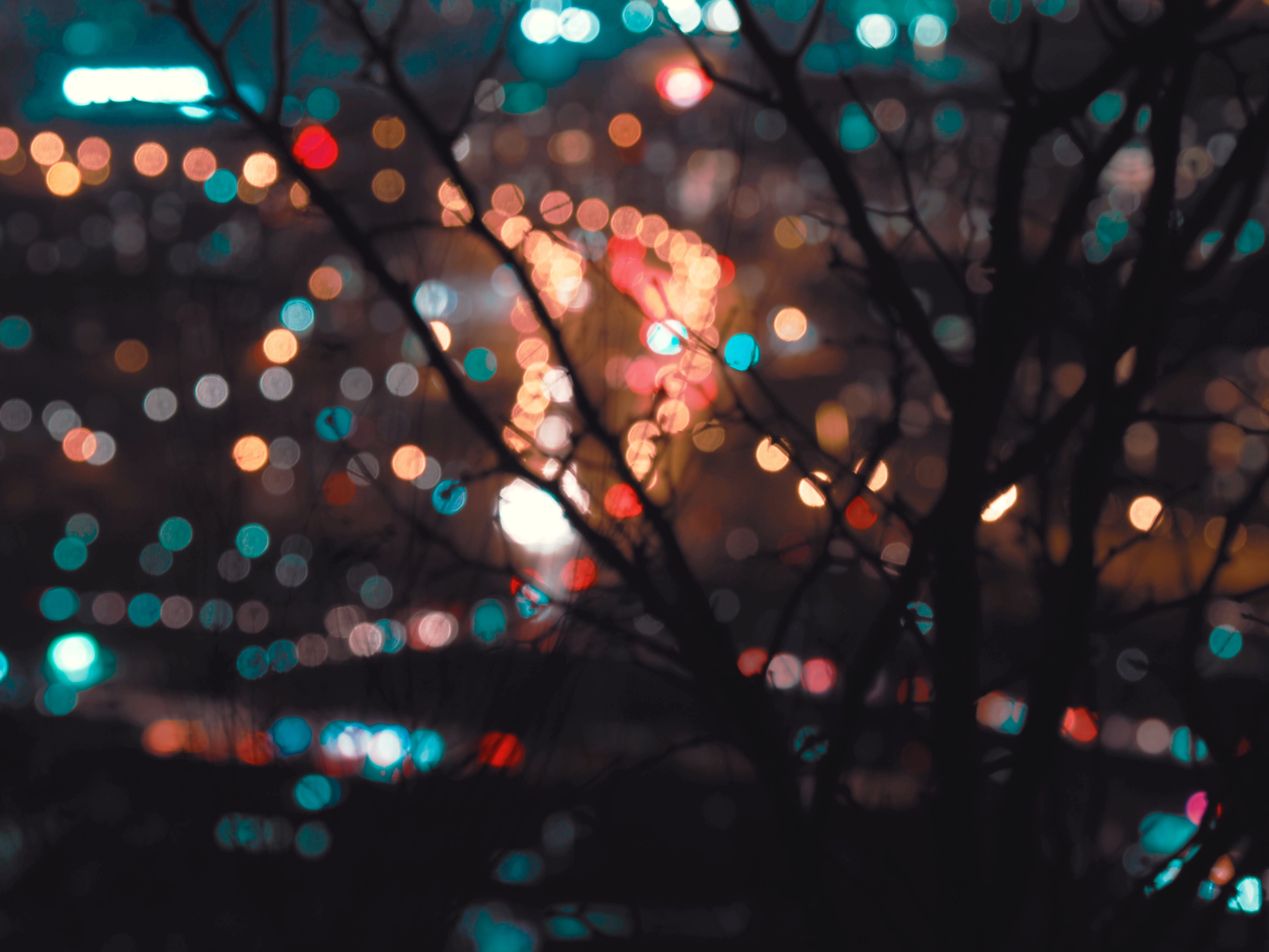 petal, illuminated, market, banister, lighting equipment, lighting, art, shop, 5K, tree, cherry blossom, night, flare, defocused, arts culture and entertainment, HD Wallpaper