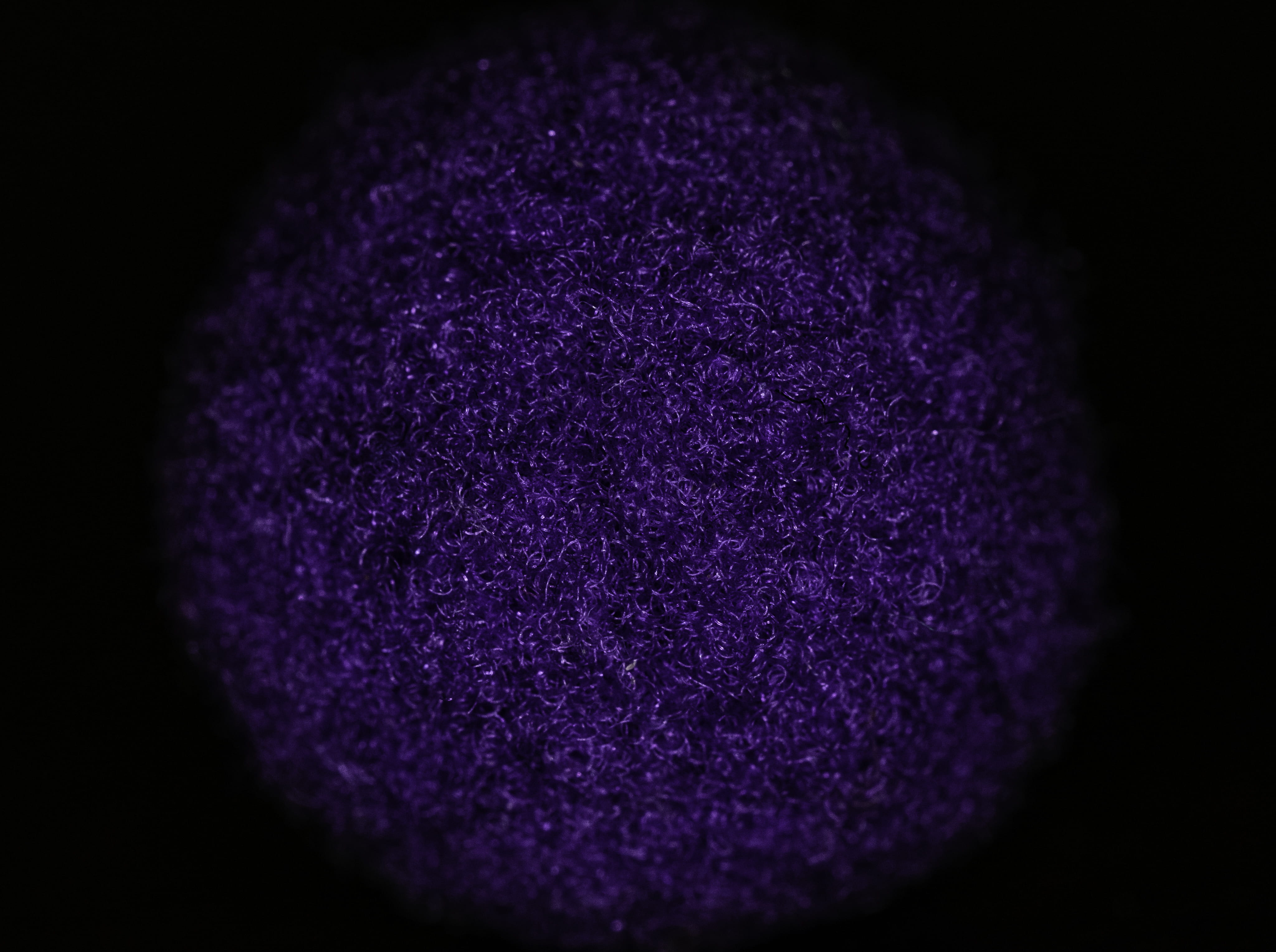 blue, cabbage, sphere, rug, dye, close-up, wellbeing, purple, black background, textures, science, indoors, flower, powder, hair, background, no people, HD Wallpaper