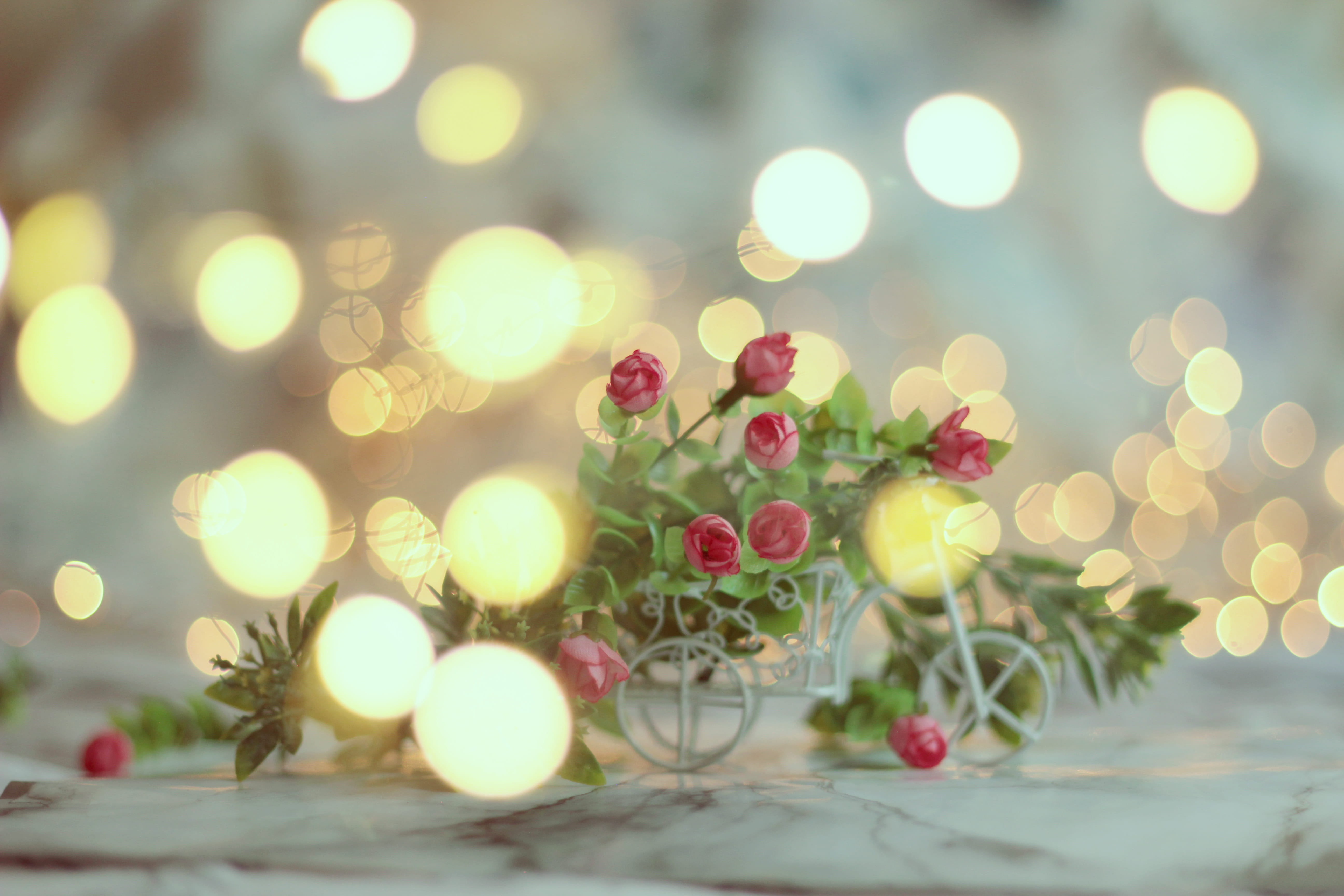 market, bazaar, flare, christmas, green, blossom, shop, selective focus, christmas lights, indoors, flower, rose, pattern, nature, christmas ornament, photography, HD Wallpaper