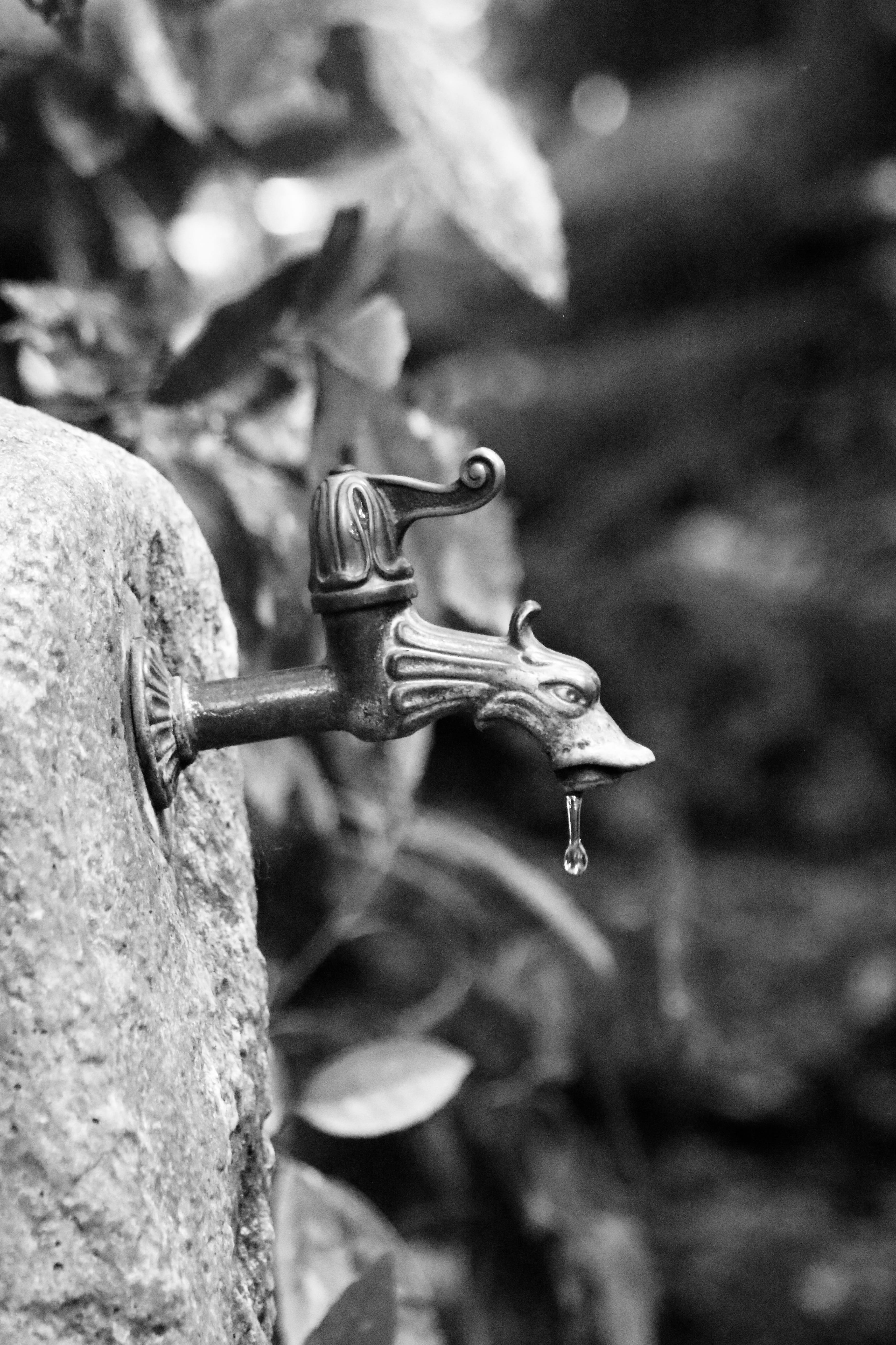creativity, no people, metal, brass, water, human representation, day, representation, outdoor, close-up, well water, plant, leaking, handle, garden, nature, Phone HD Wallpaper