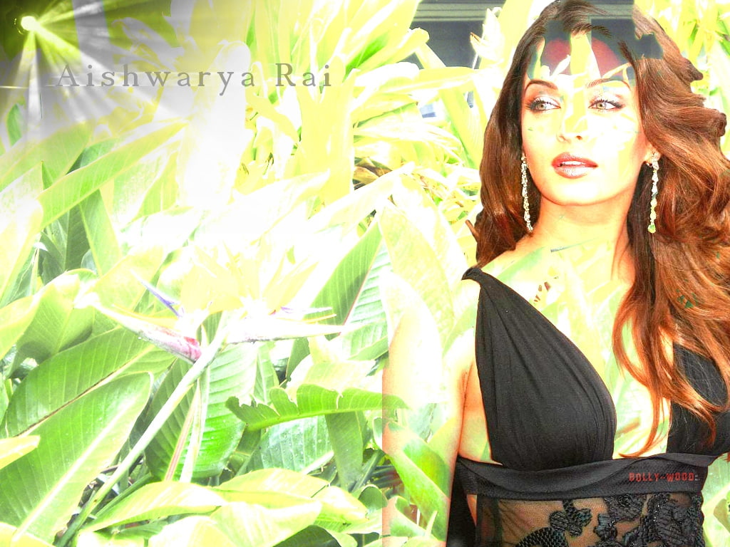 actress, entertainment, people, bollywood, 480P, rai, art, hd, aishwarya, india, HD Wallpaper