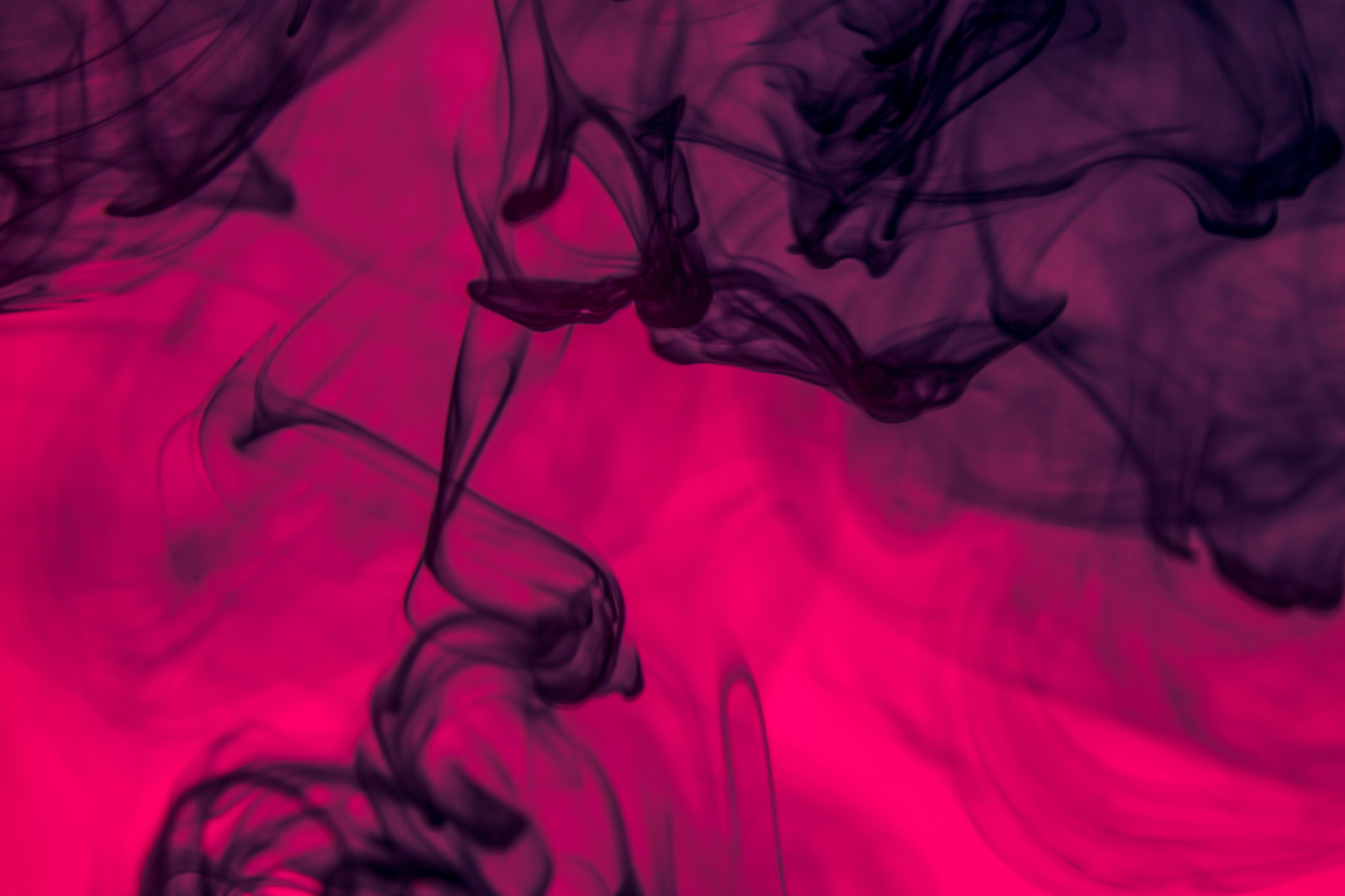 no people, nature, ink, computer Graphic, shroud, water, 5K, black Color, illustration, studio shot, art, swirl, colors, fractal, flowing, backgrounds, HD Wallpaper