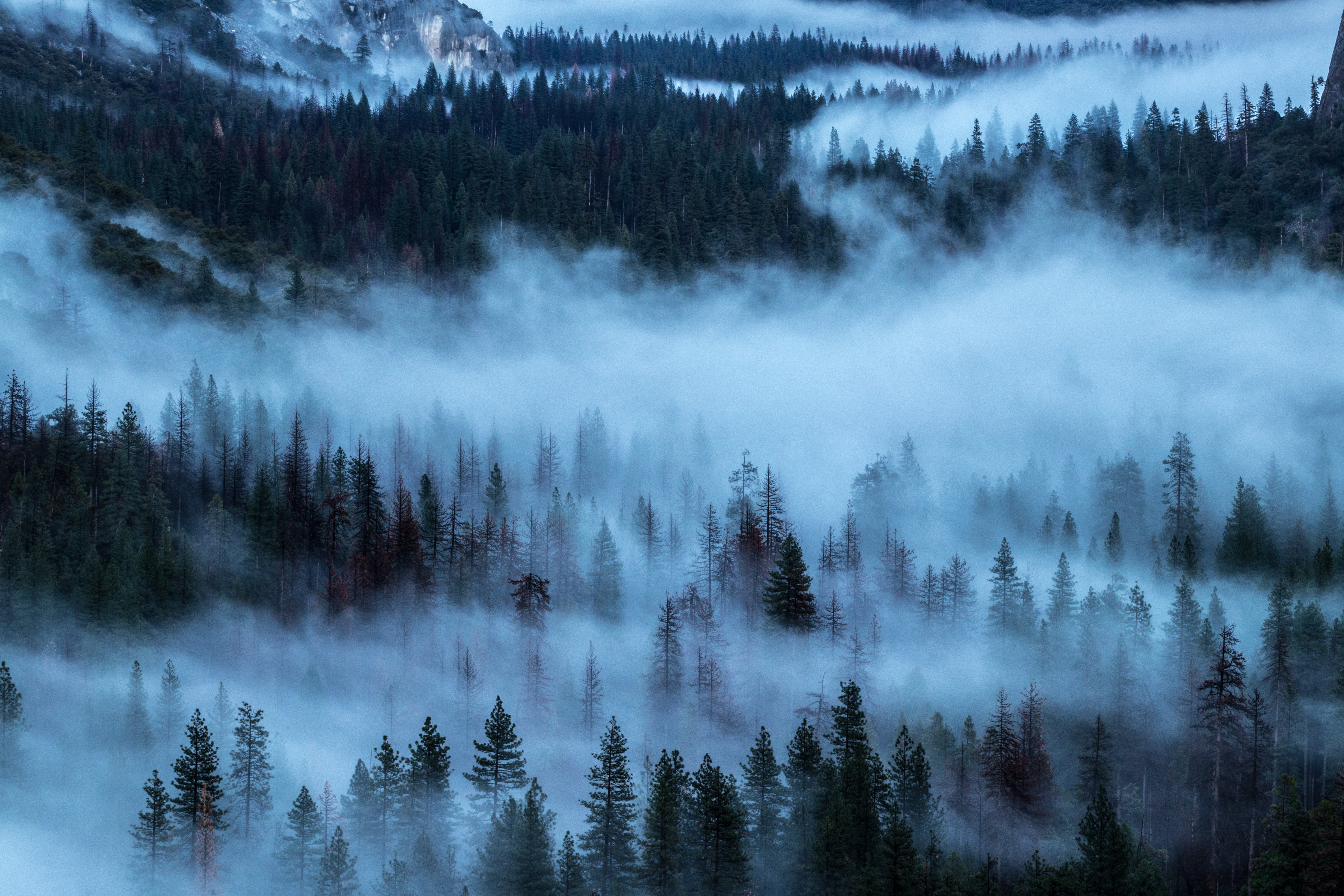 environment, cloud - Sky, color Image, non-Urban Scene, sky, coniferous Tree, summer, cold temperature, sunlight, mountain Peak, land, shroud, landscape, HD Wallpaper