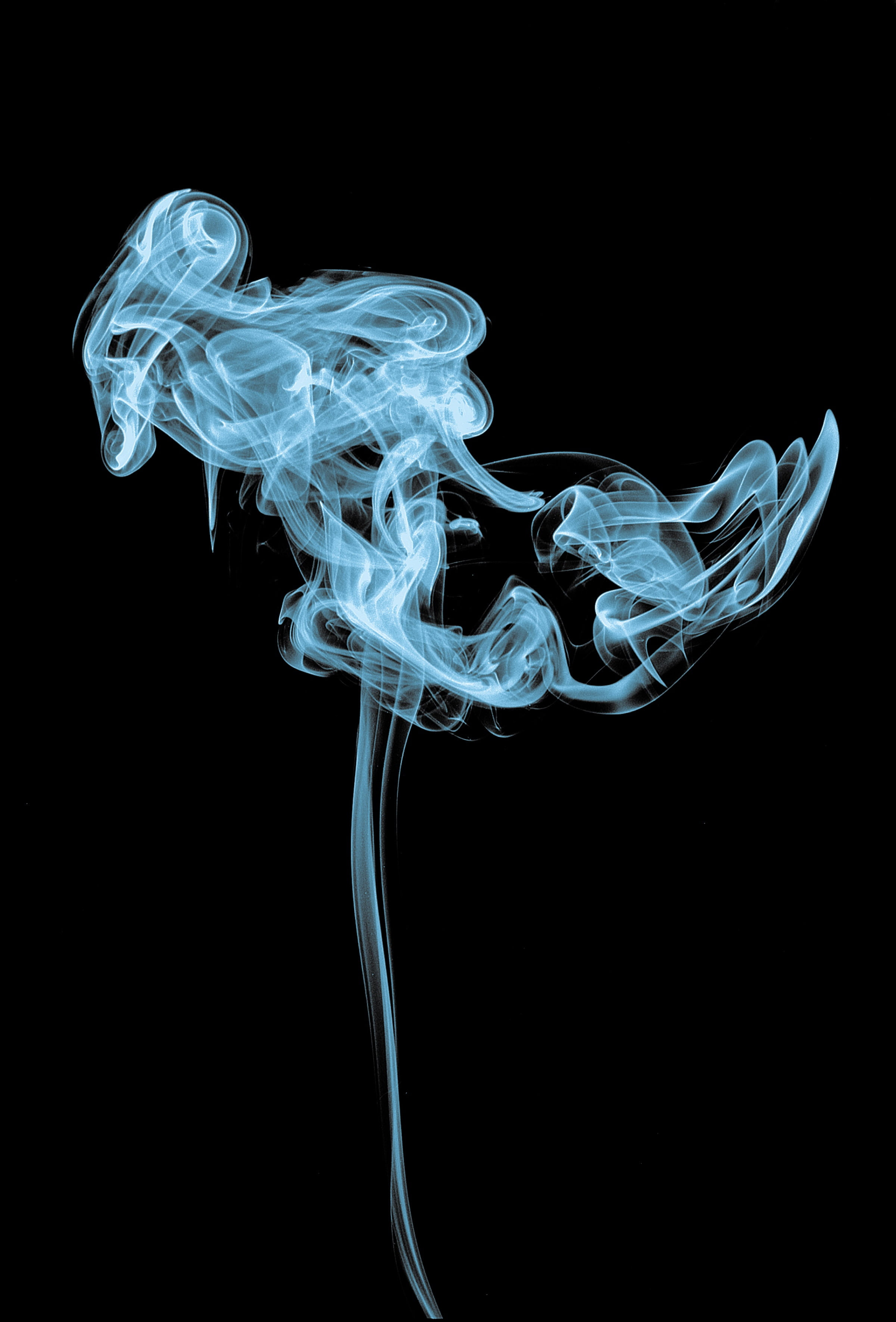 changing form, clip, smoke, white, cut out, curve, abstract, pattern, water, simplicity, studio shot, no people, smoke - physical structure, shroud, close-up, Phone HD Wallpaper