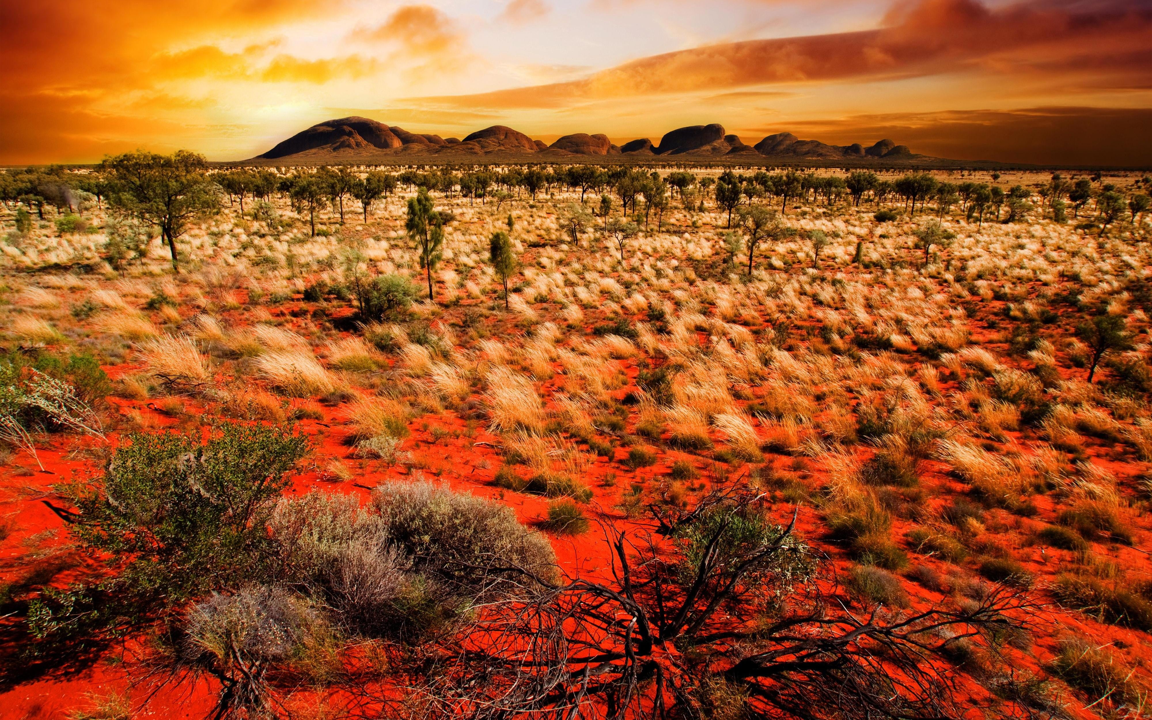 growth, scenics, travel, rock - Object, sun, sunset, day, sunrise - Dawn, rural Scene, outdoors, no People, nature, sky, multi Colored, arid climate, cloudscape, HD Wallpaper