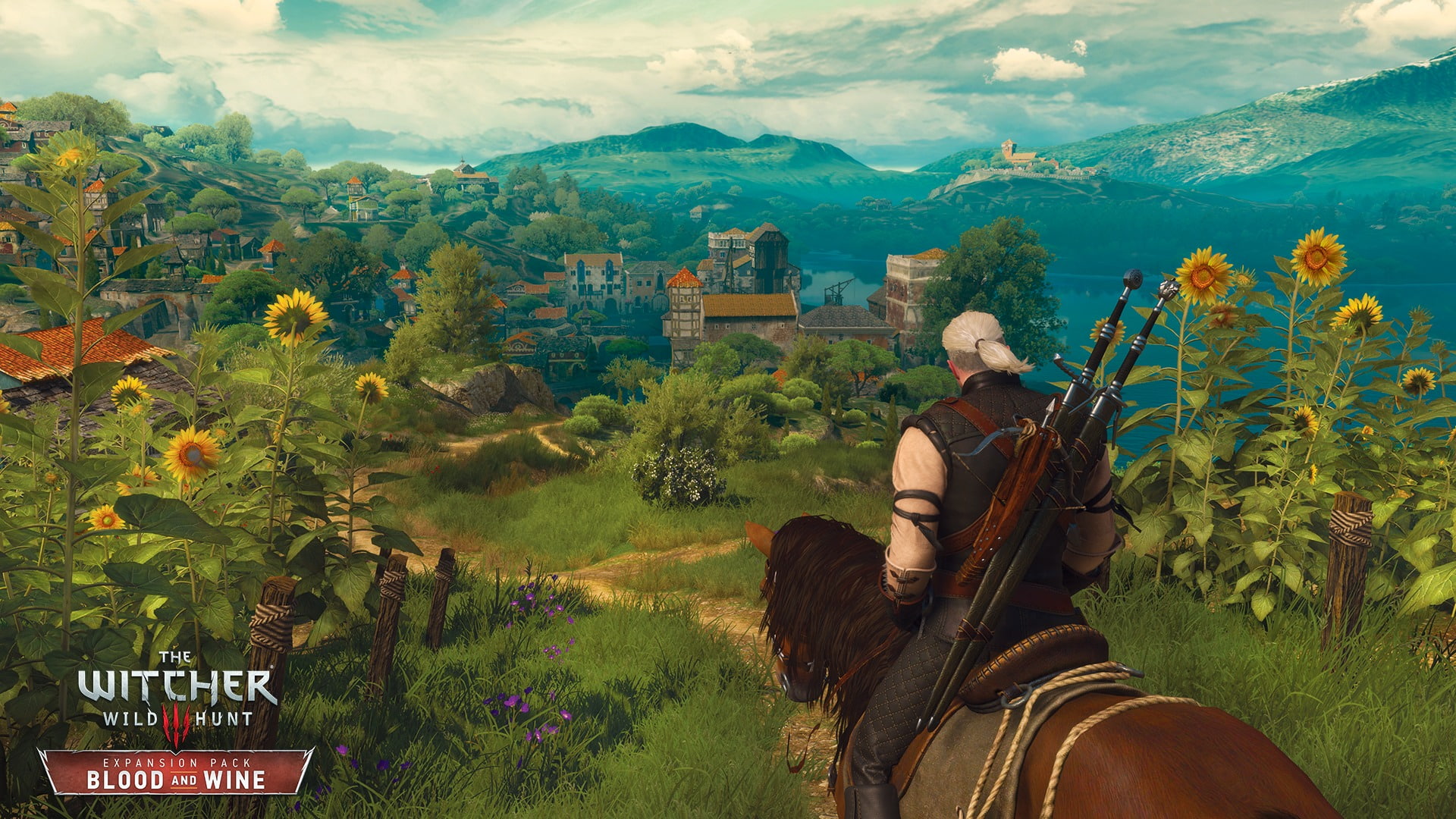 The Witcher, 1080P, Blood, Geralt, Blood and Wine, DLC, Wild Hunt, Roach, HD Wallpaper
