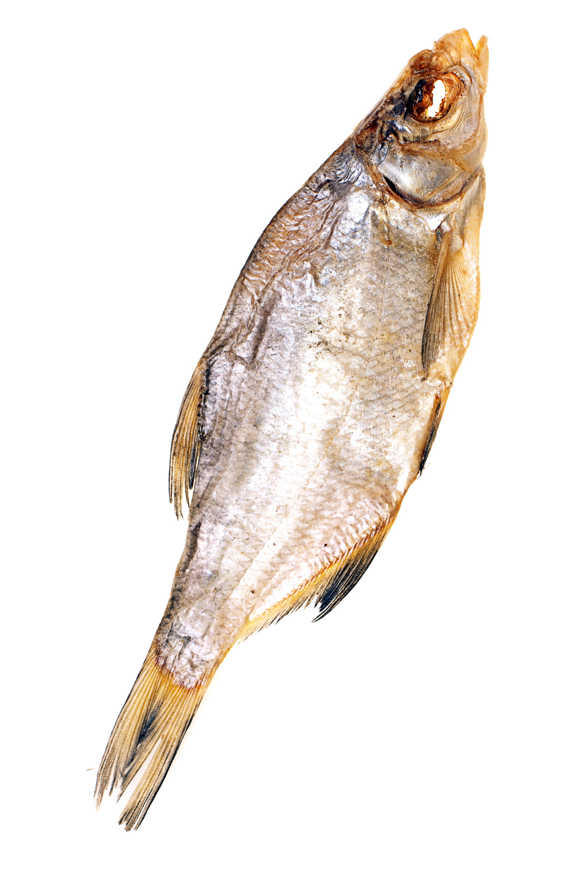 brown, dead, dry, 2K, studio shot, tail, salted, prepared, food, animals in the wild, snack, salty, indoors, side view, copy space, fish, close-up, fin, Phone HD Wallpaper