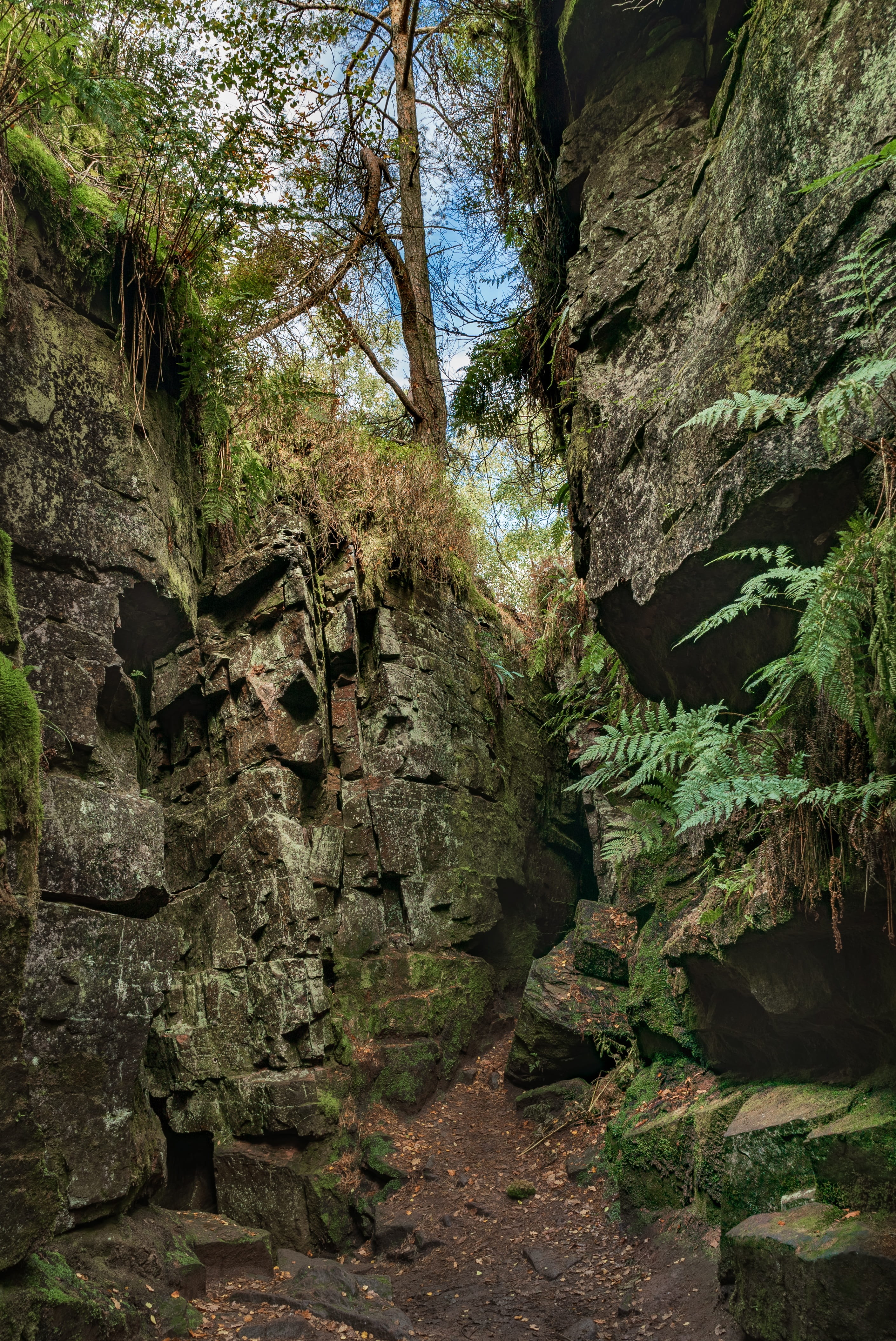 no people, rock - object, landscape, tourist, luds church, growth, eroded, day, rock formation, 4K, scenics - nature, the way forward, tree, rocks, tranquility, Phone HD Wallpaper